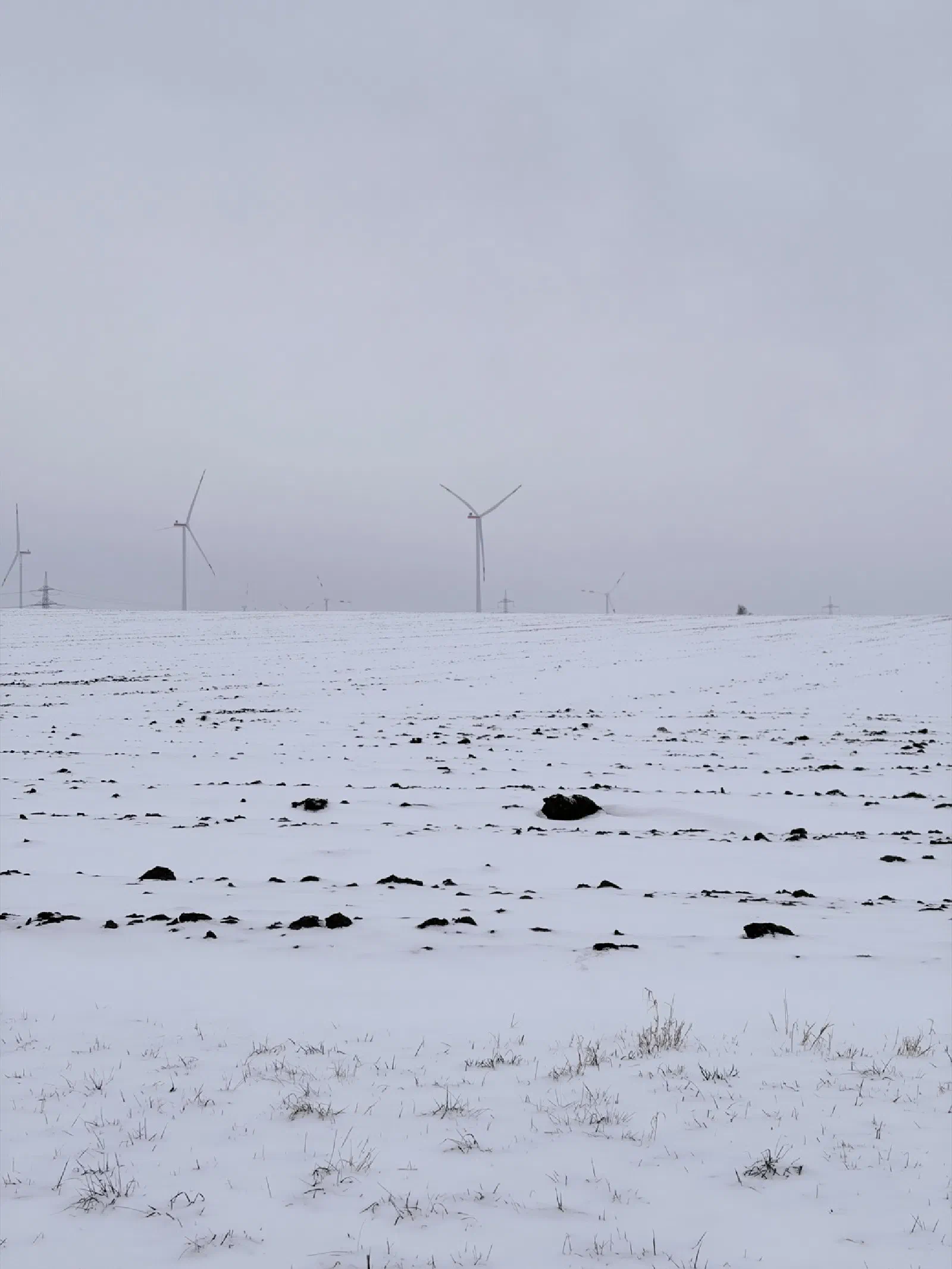 Windpark
