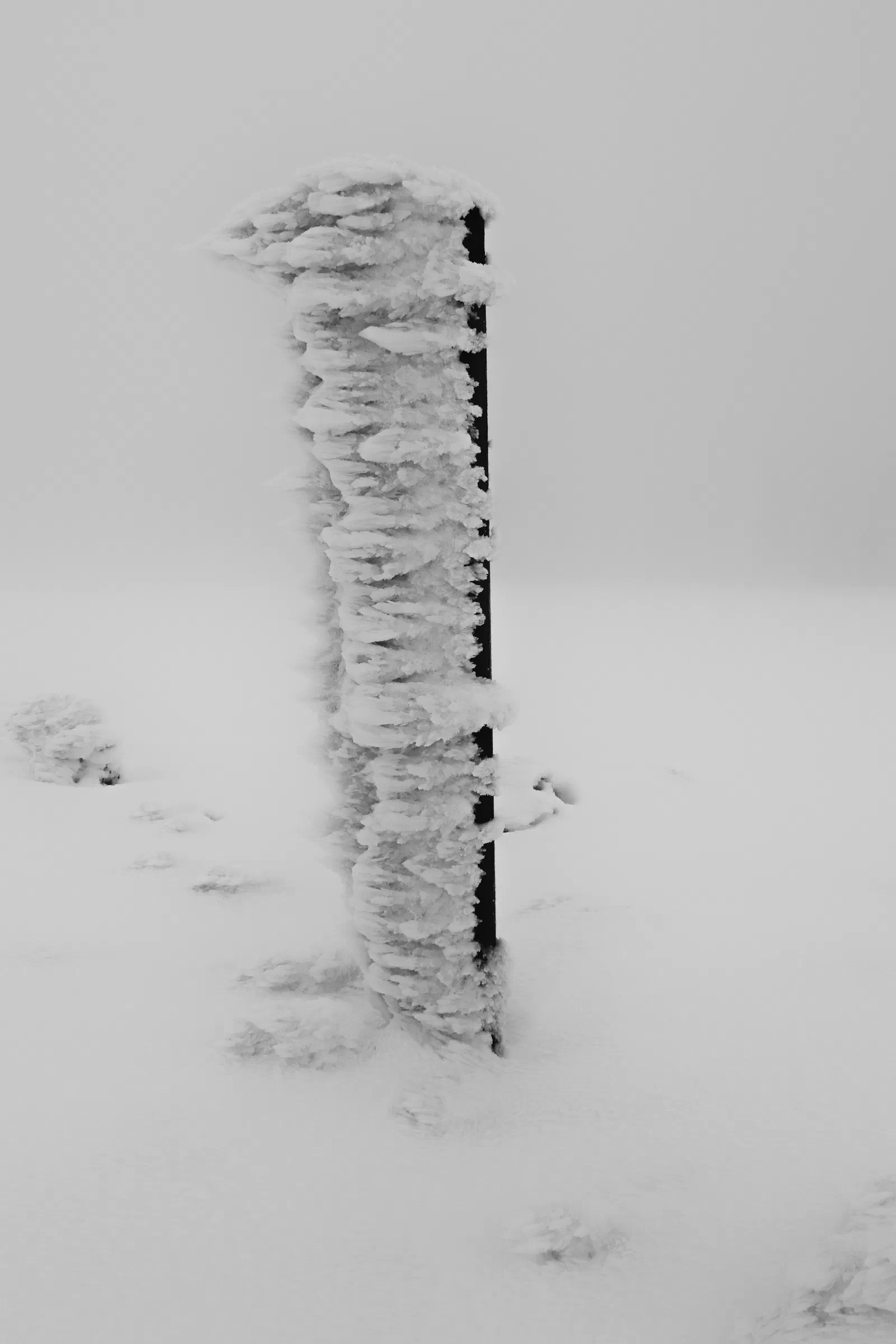 Czech wilderness