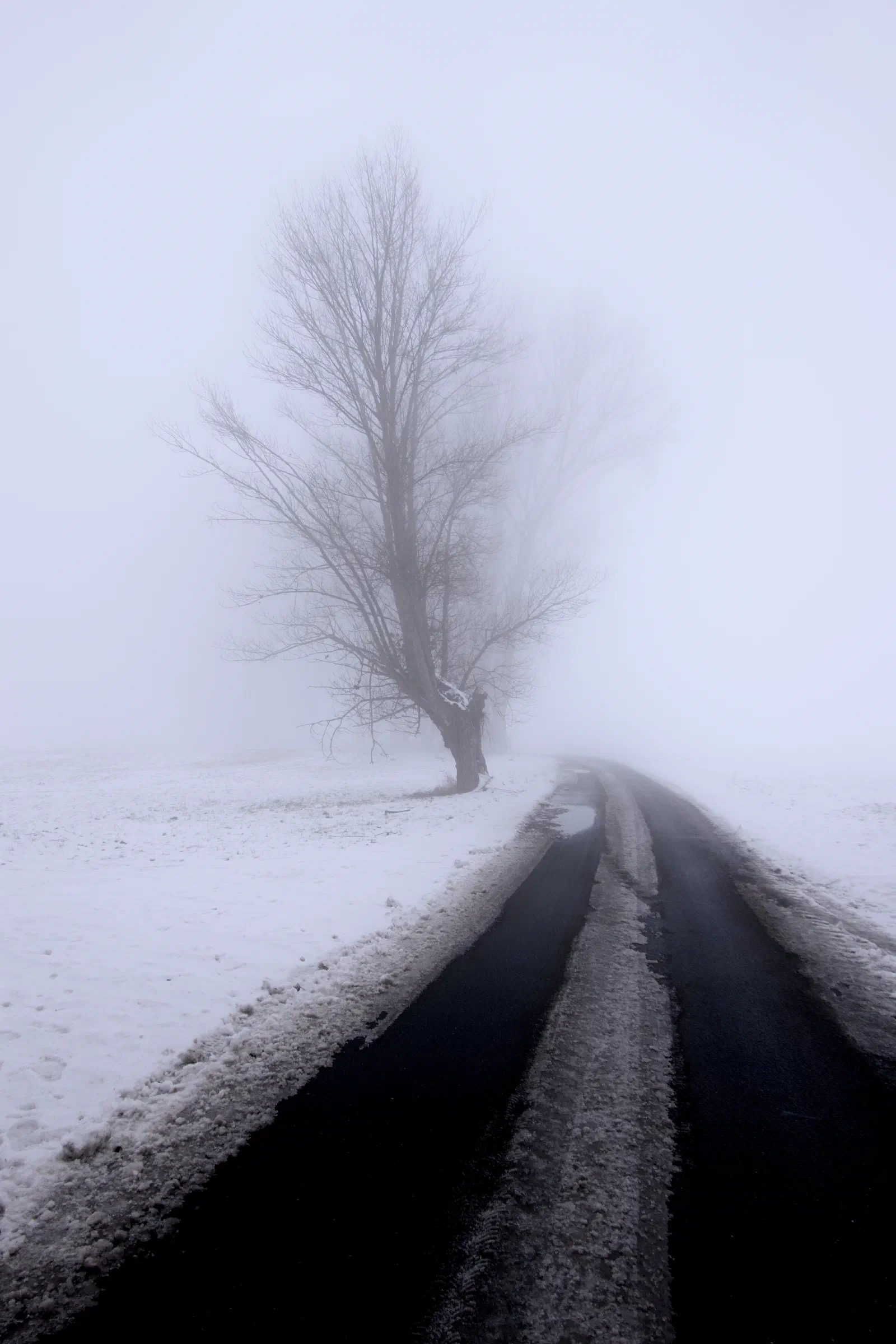 Fog