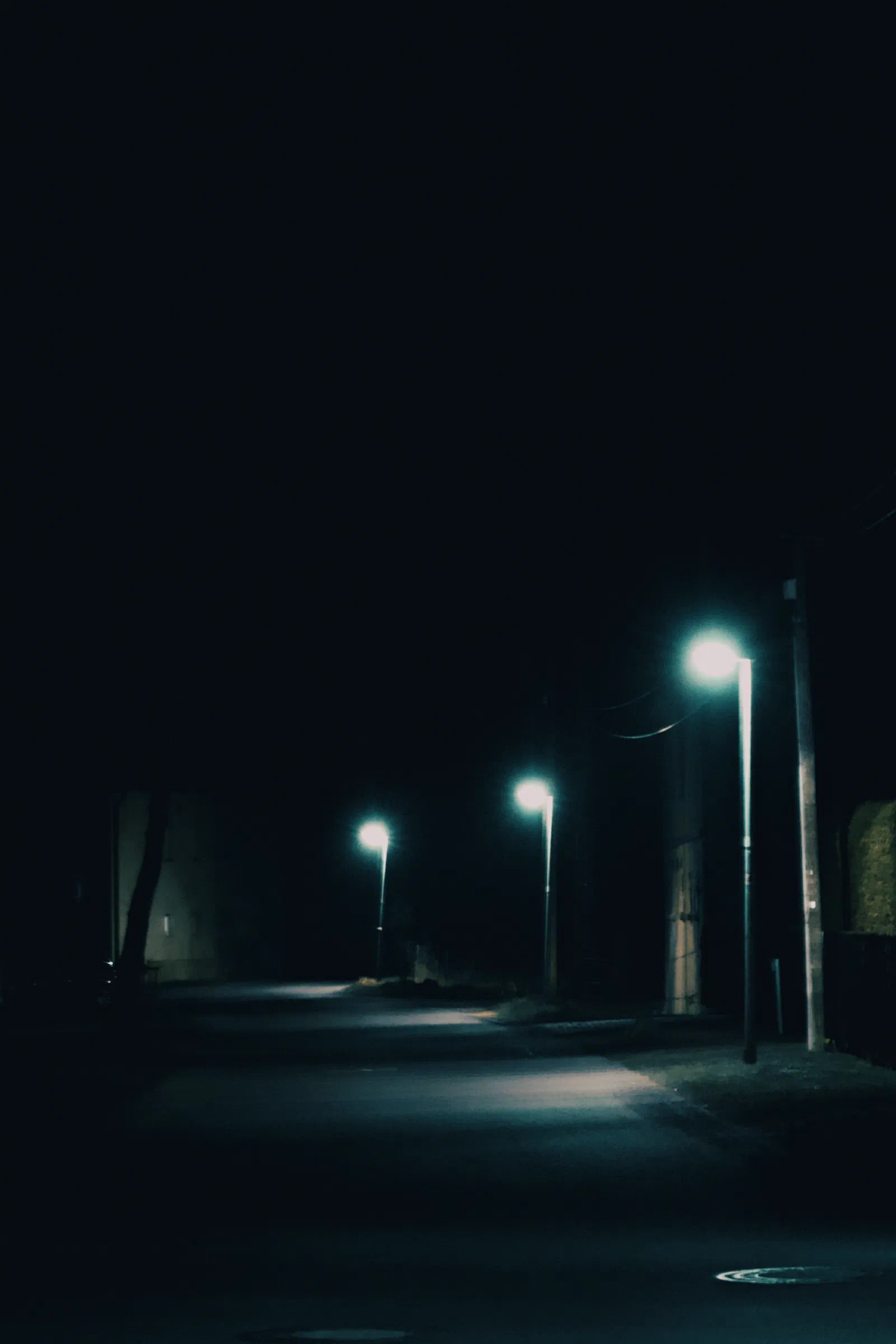 Night Shot