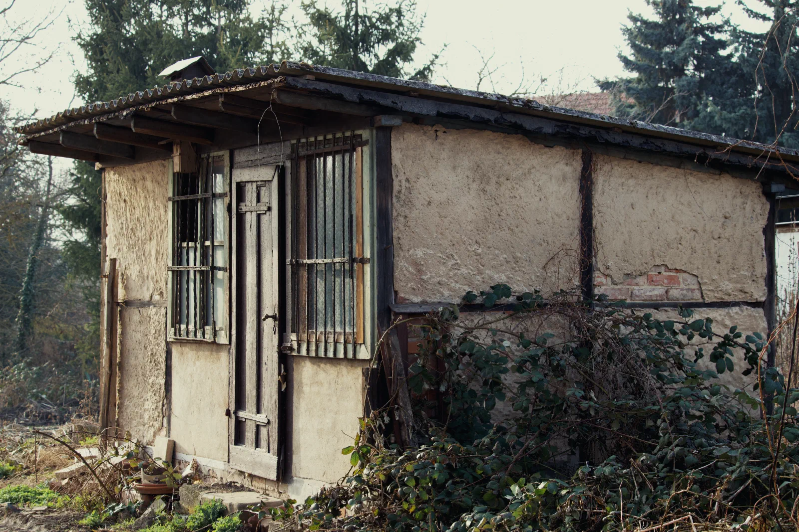 Chicken Shed