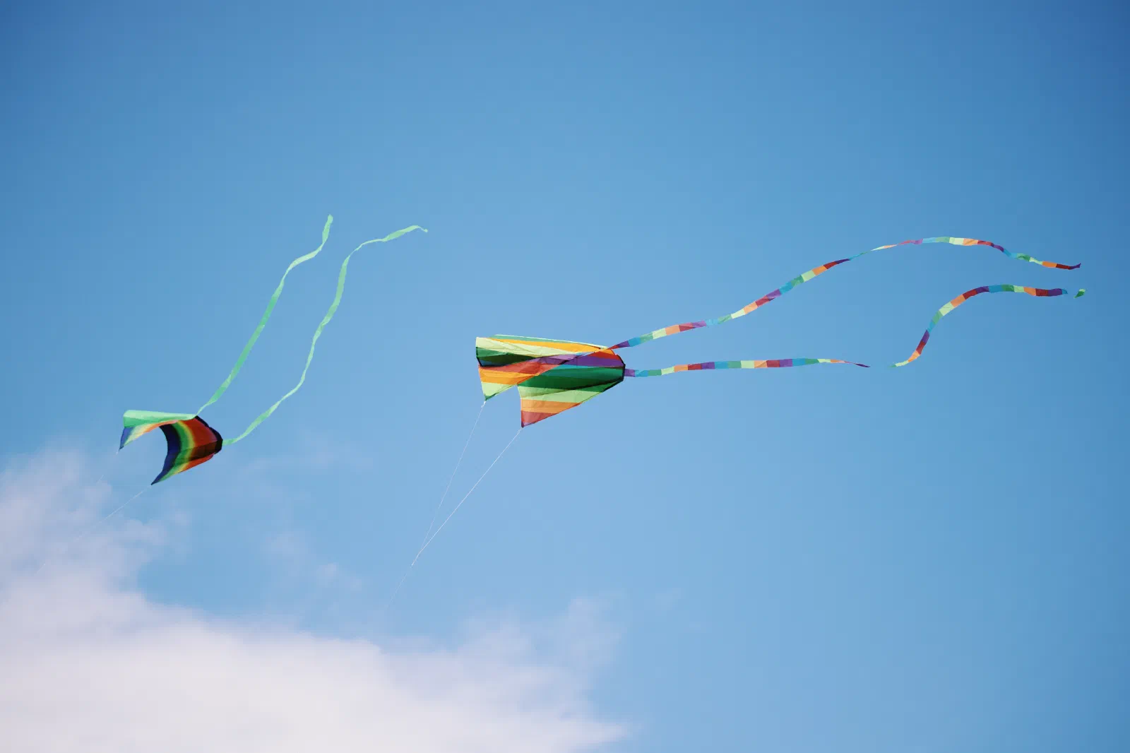 Kite