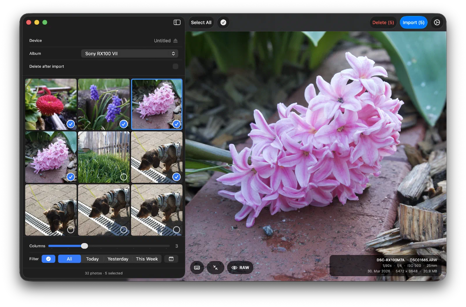 Hypo showing a grid of photos with a full RAW preview on the right