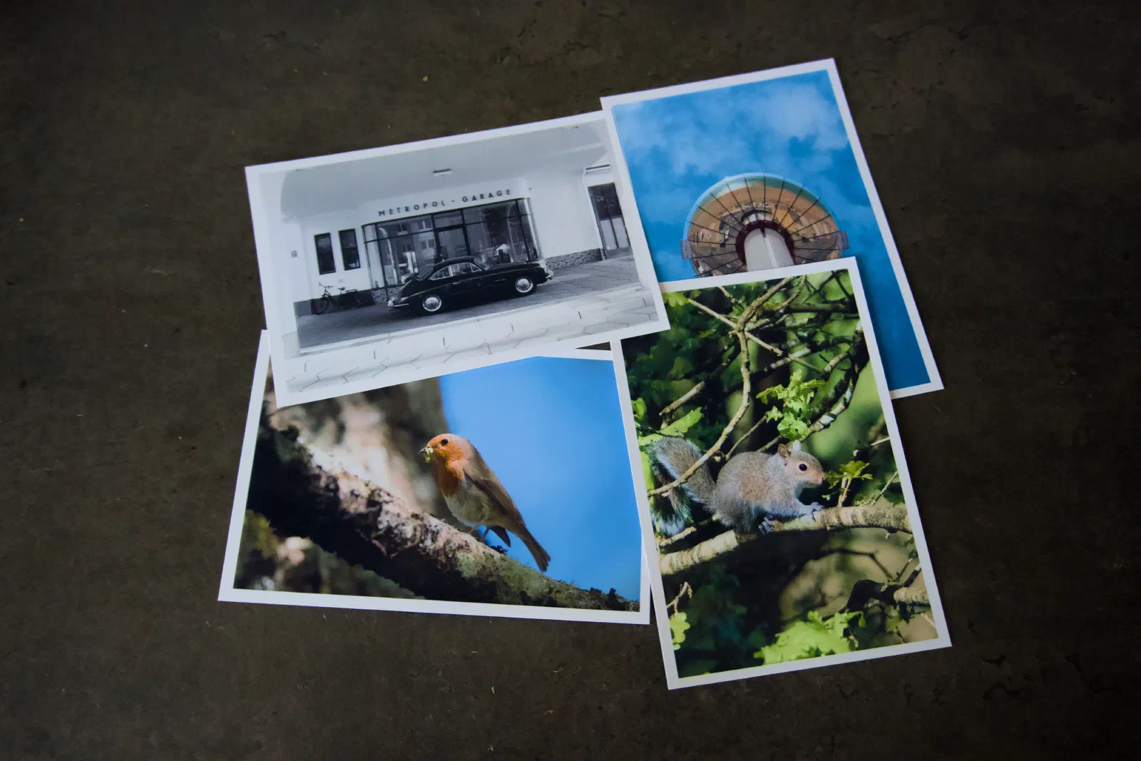 Four freshly printed postcard-sized photos on a dark surface: a Porsche, the Brighton i360, a robin and a grey squirrel