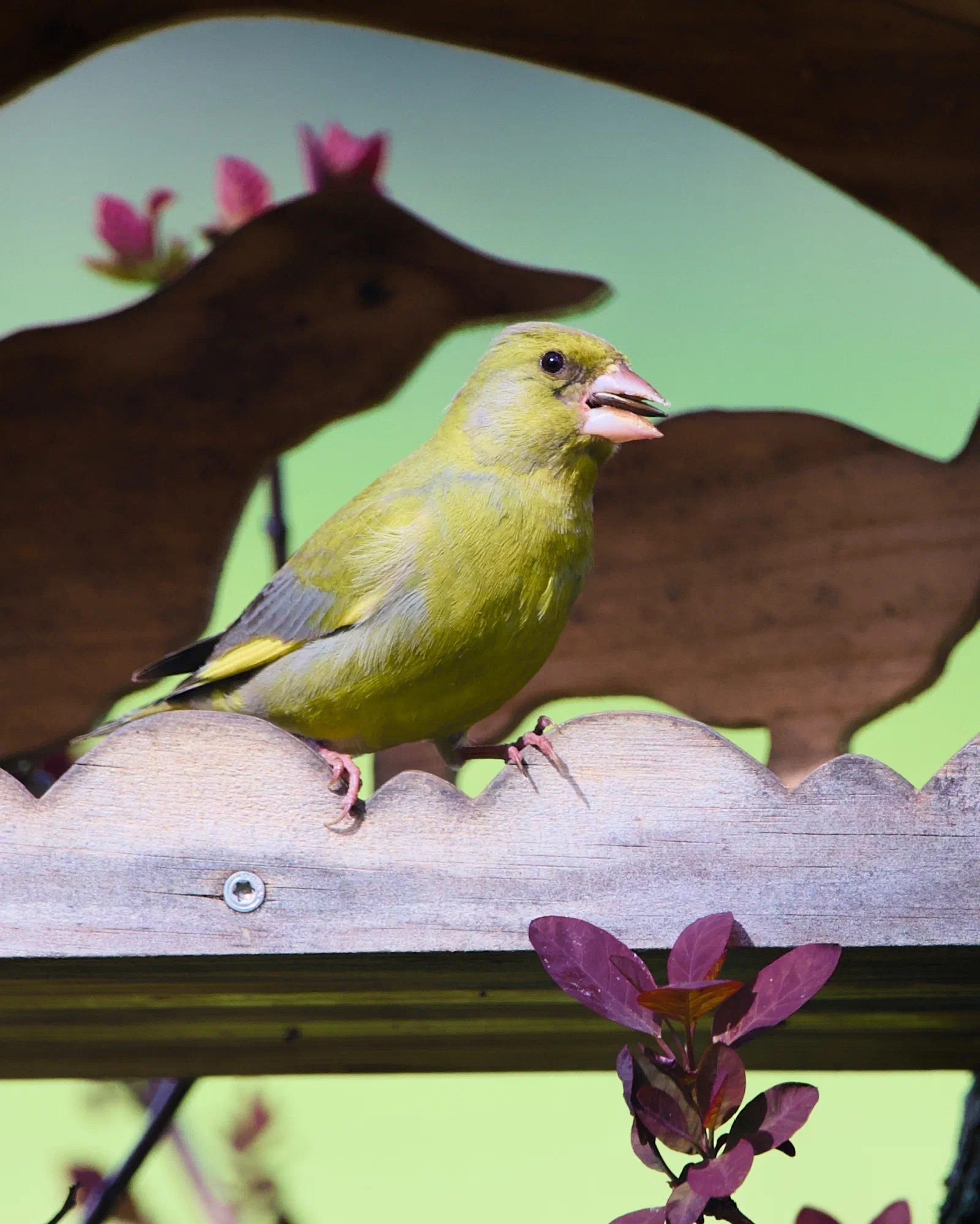 A male European greenfinch perched on a carved wooden bird feeder, olive-yellow plumage with bright yellow wing edges, beak slightly open