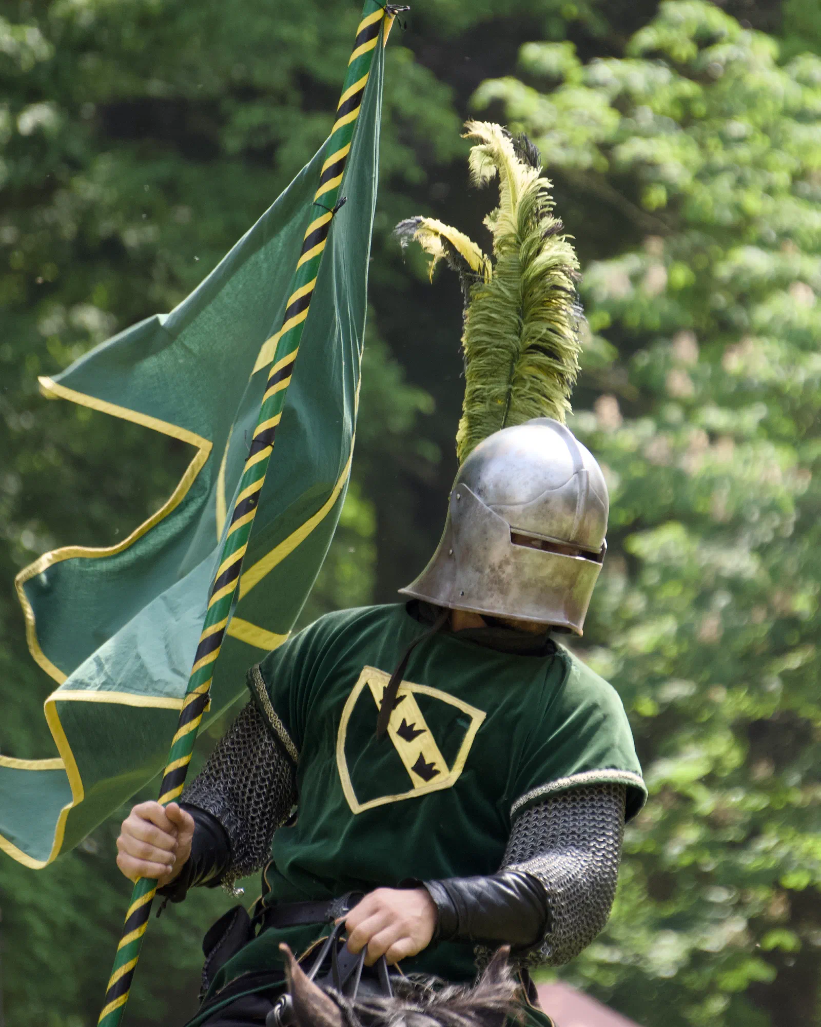 A mounted knight with a green flag and yellow-plumed helmet
