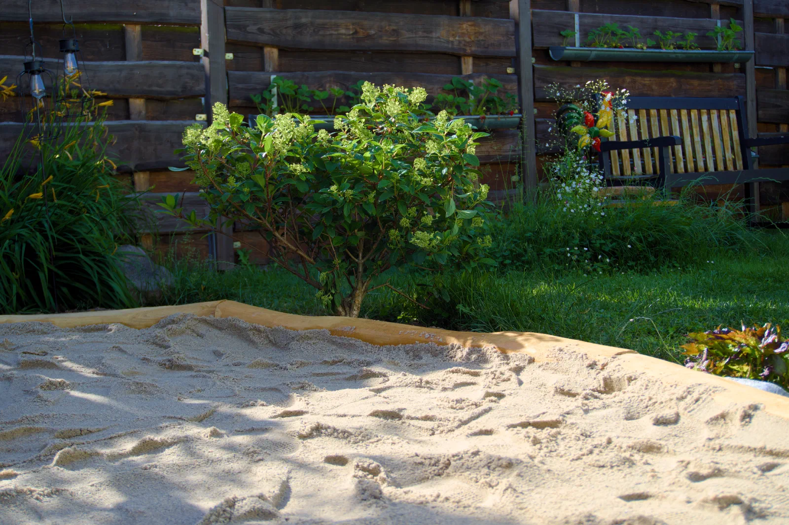 Sandbox filled with sand, hydrangea and bench behind