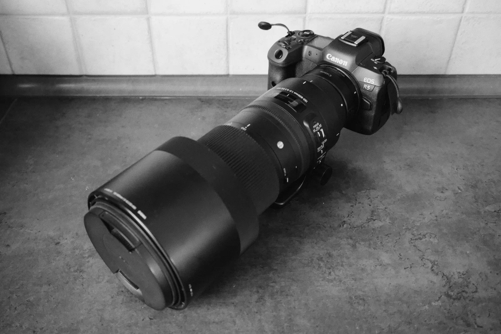Black and white photo of a Canon EOS R5 with a Sigma telephoto lens