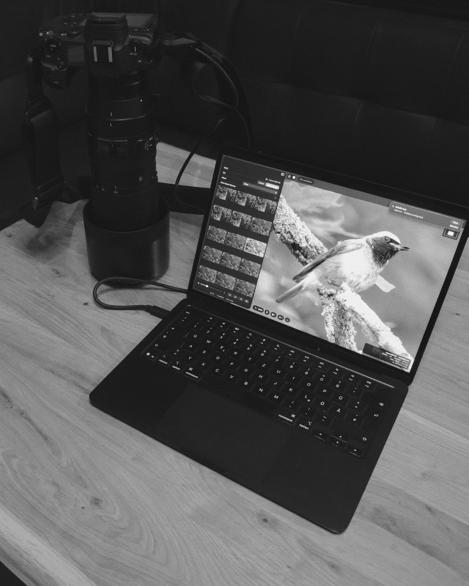 Black and white photo of Hypo running on a MacBook, with a Canon R5 and telephoto lens tethered beside it