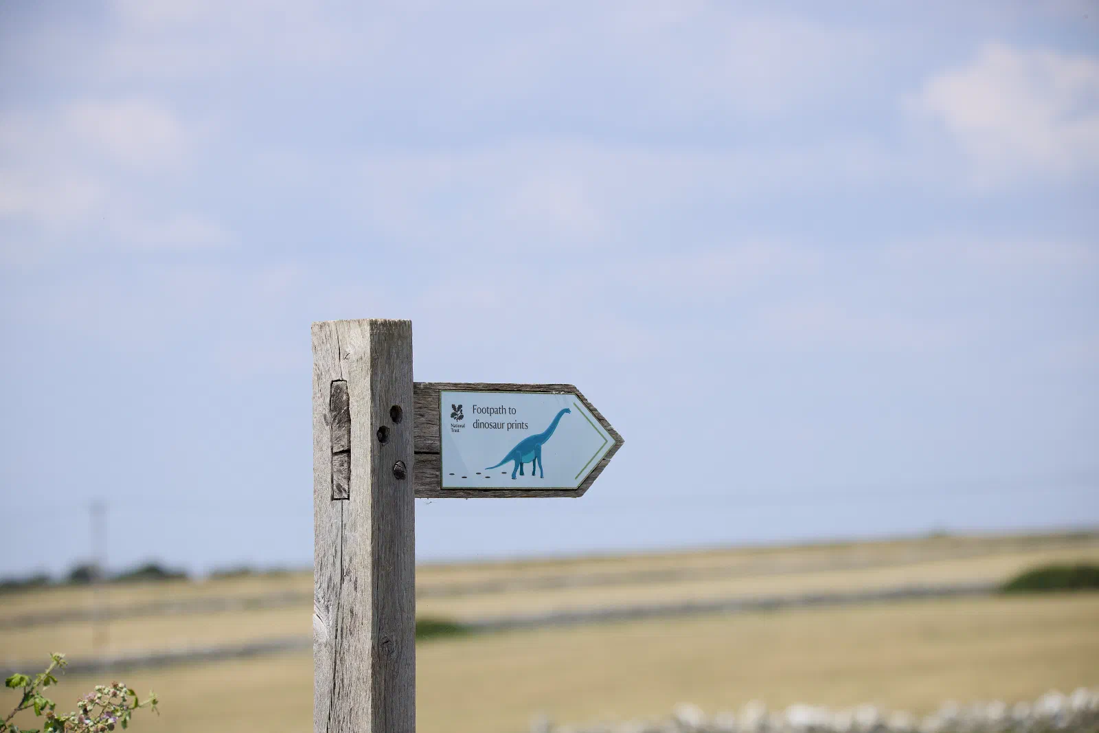 National Trust signpost pointing to the dinosaur prints