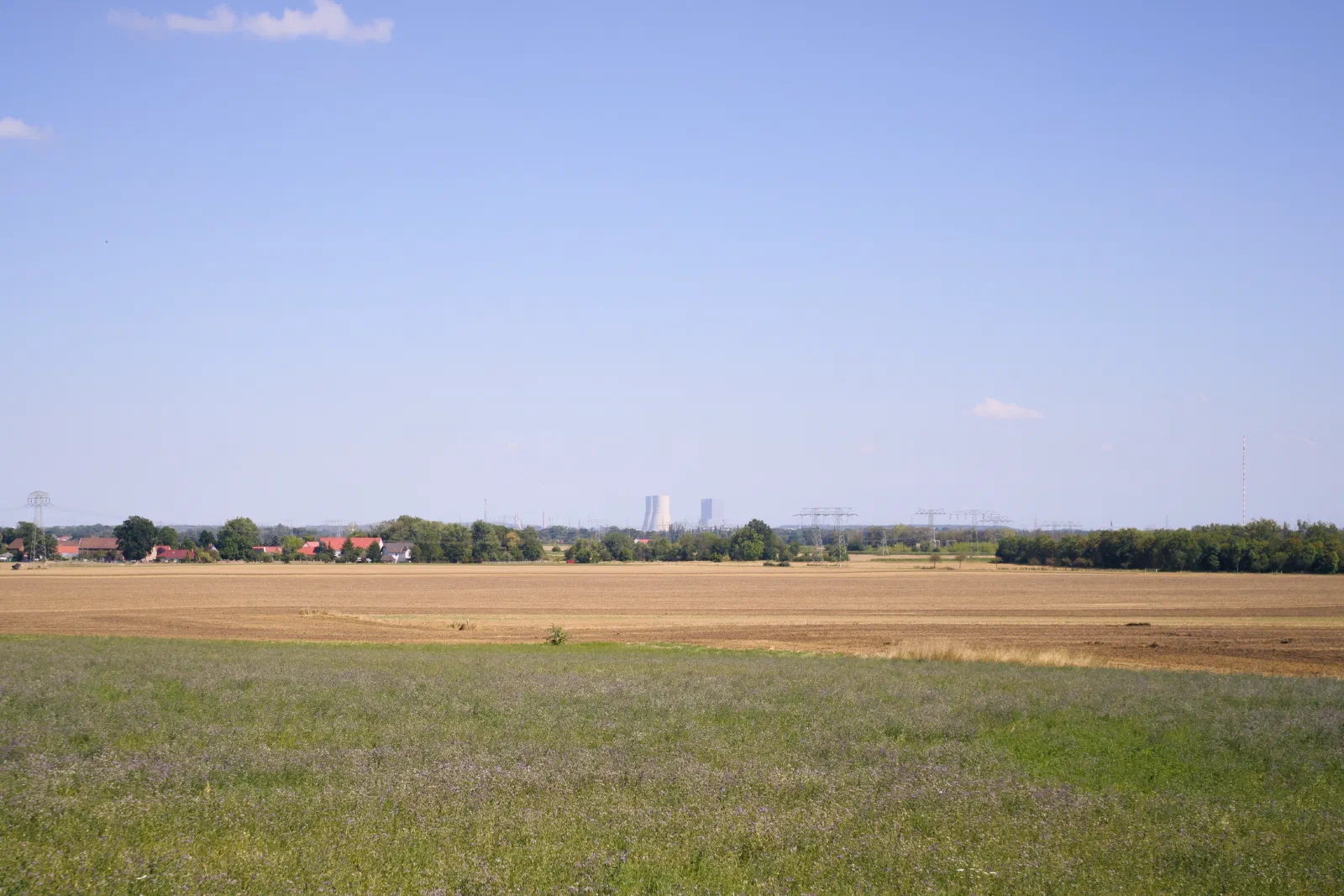 Flowering field in front of harvested fields, cooling towers on the horizon