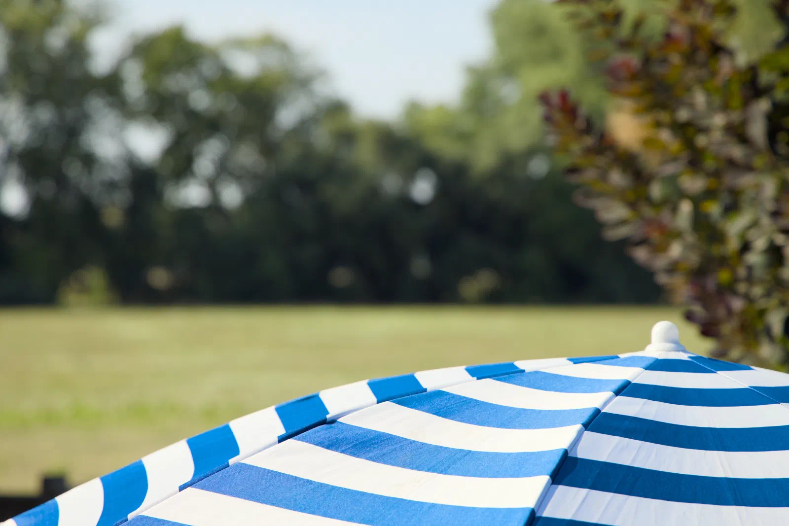 Blue and white striped parasol in front of a meadow
