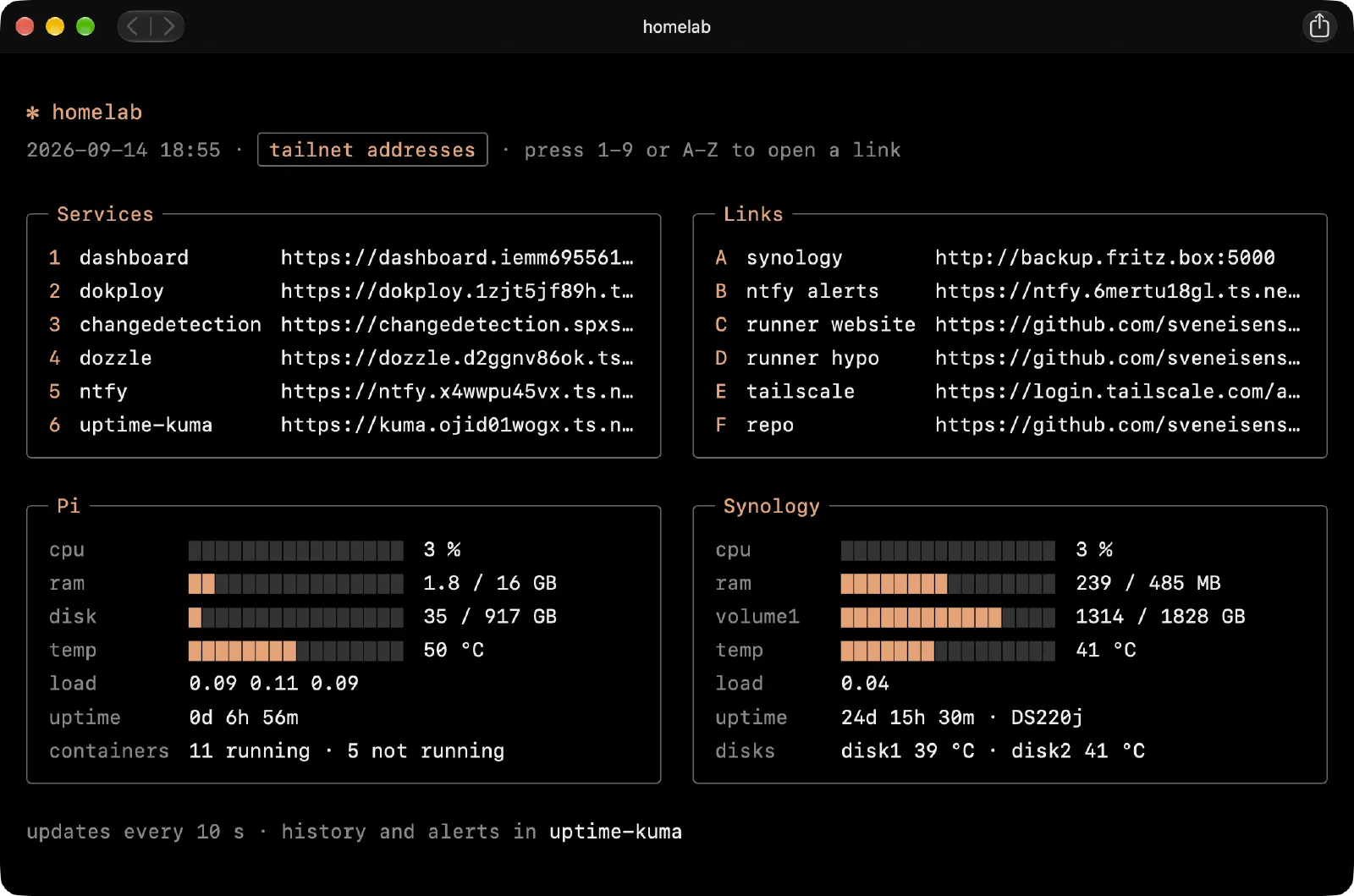 Homelab dashboard, black page with orange labels, services, links and stats for the Pi and the Synology