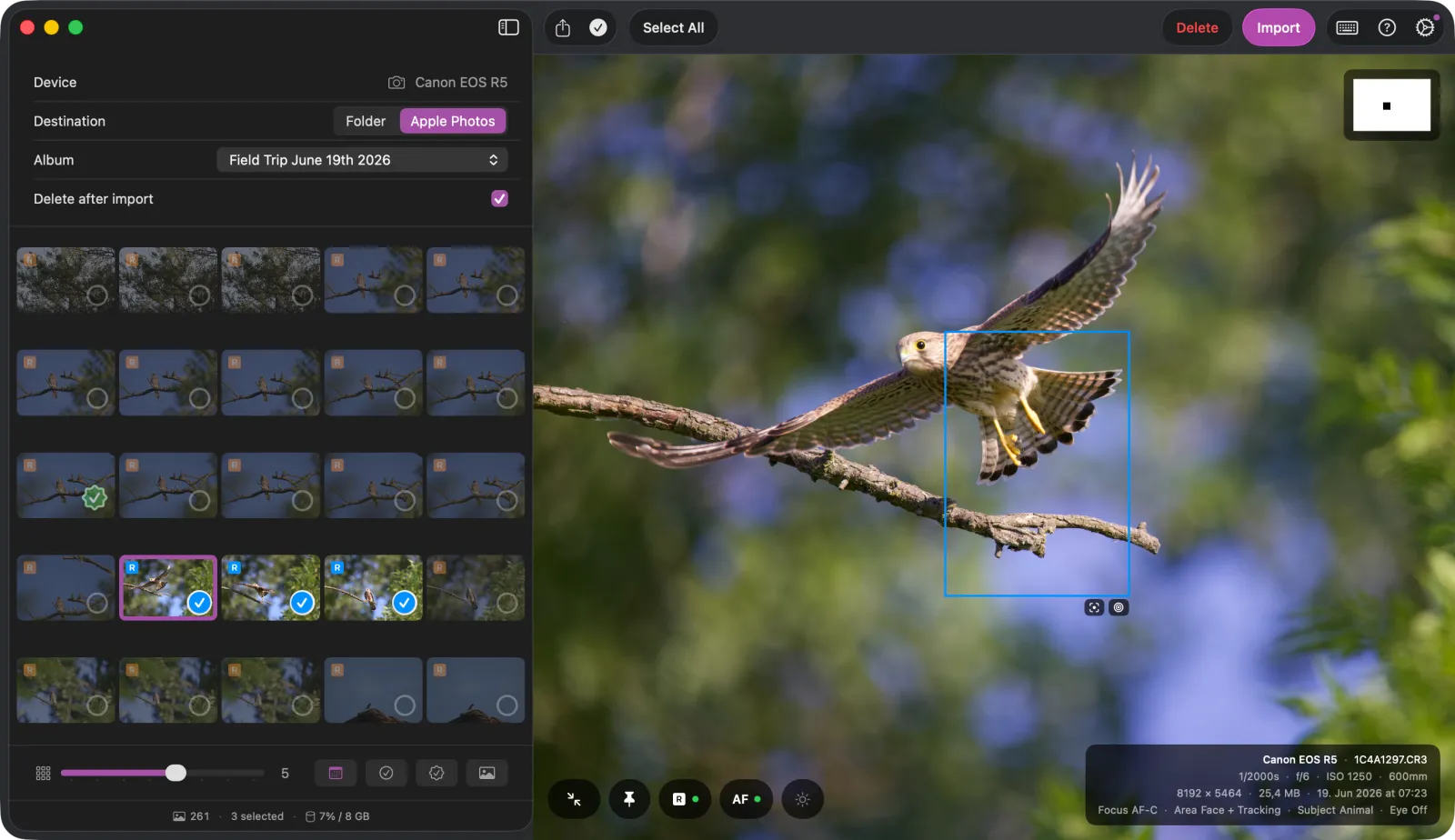 Hypo grid view with a bird of prey in flight and the blue subject-tracking box