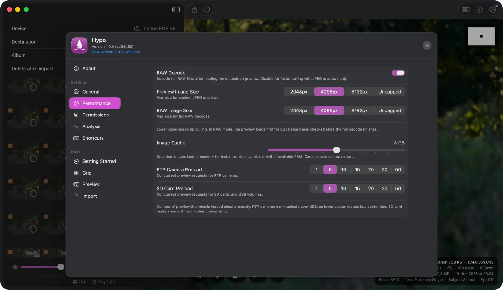 Hypo performance settings with RAW decode, preview size and cache options
