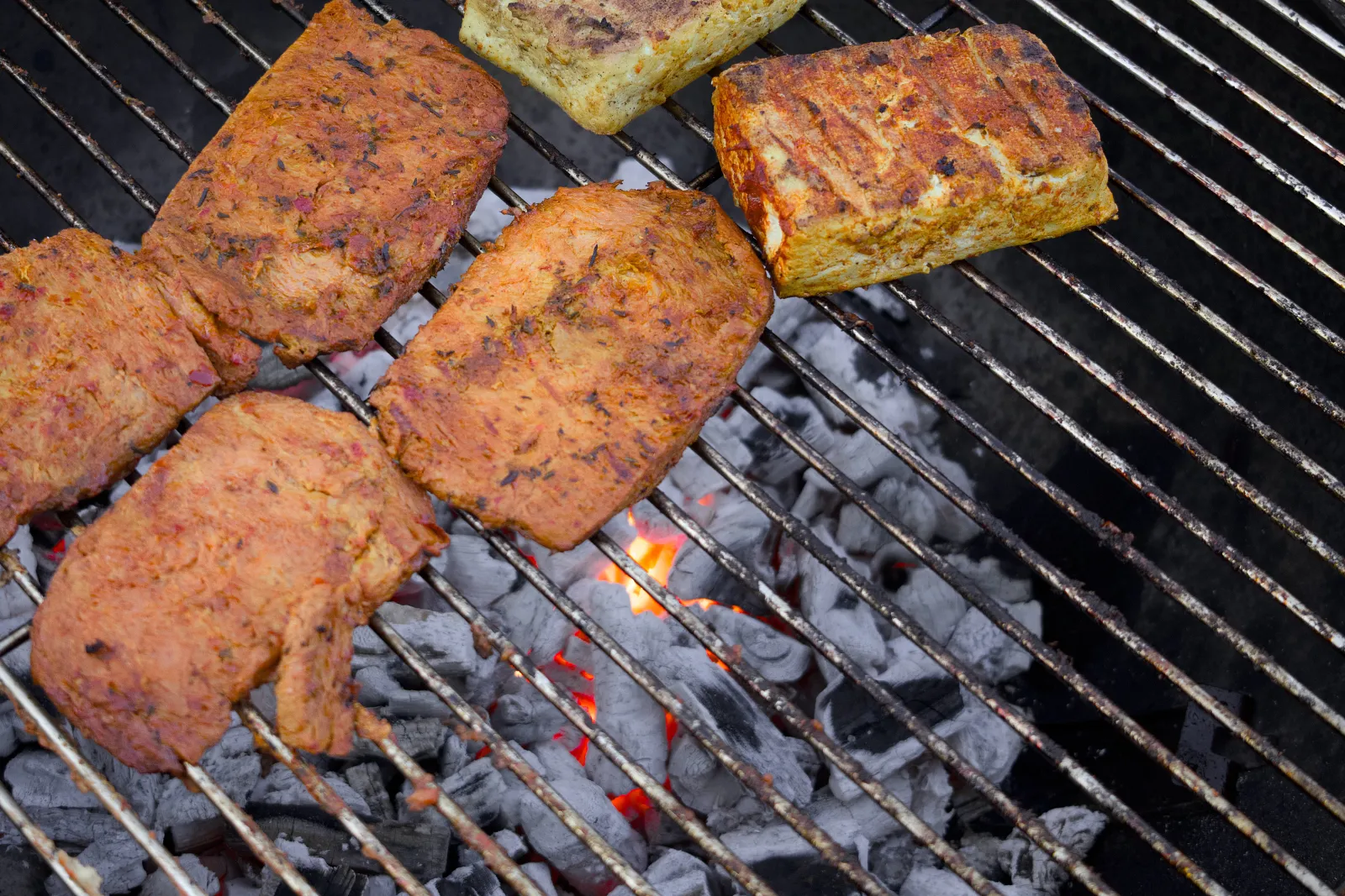 Marinated seitan steaks and tofu on a charcoal grill