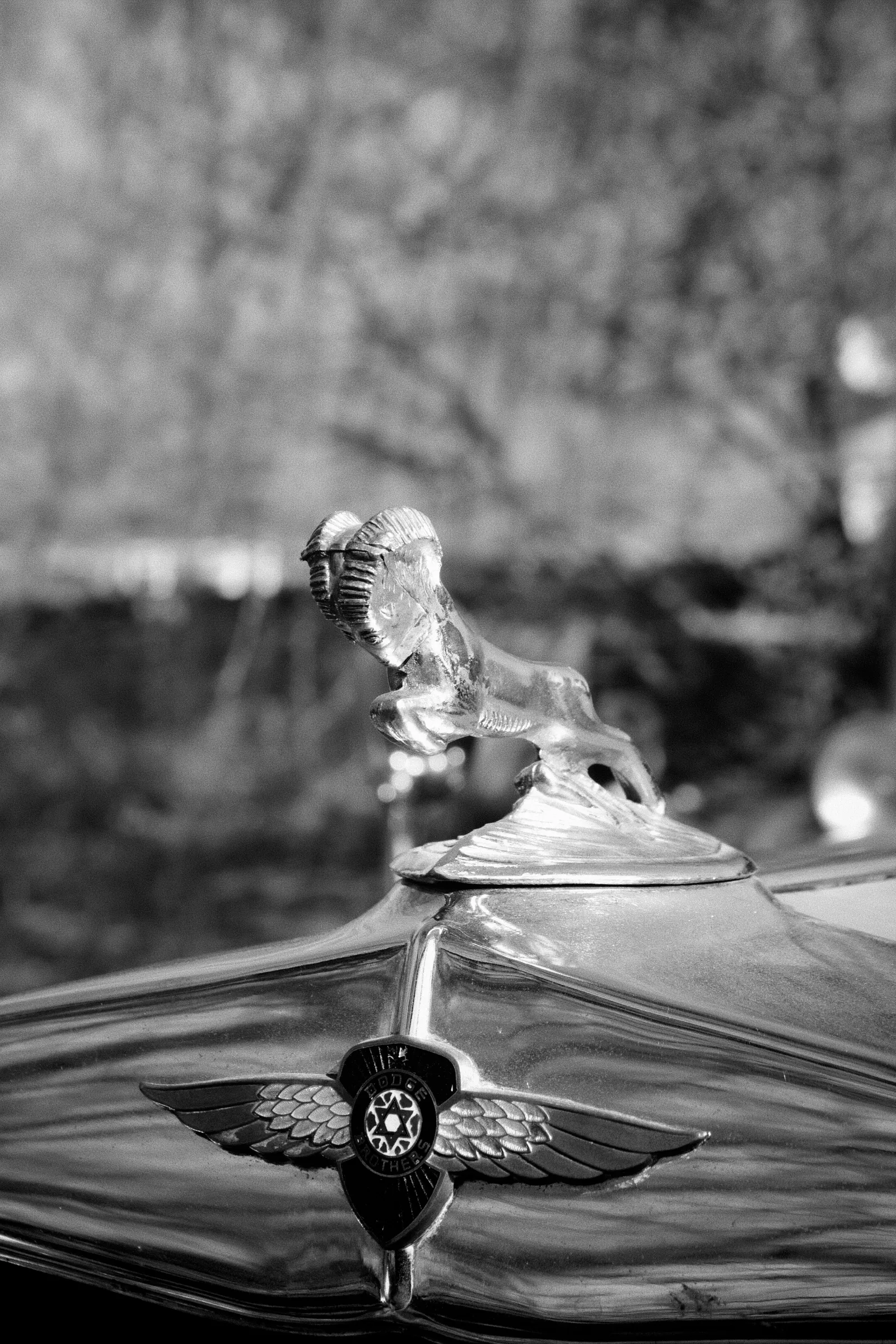 1932 Dodge Eight Series DK, hood ornament and winged emblem