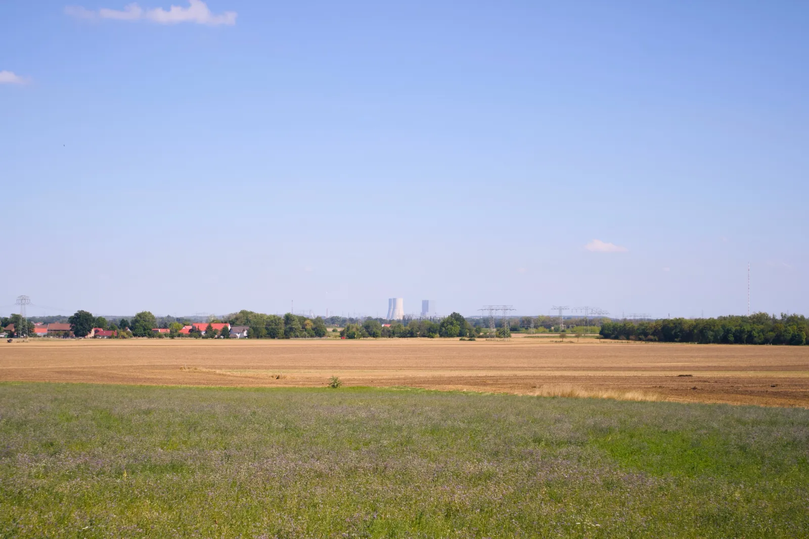 Flowering field in front of harvested fields, cooling towers on the horizon