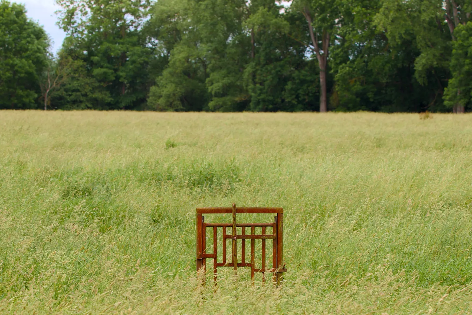 A rusty gate standing alone in a meadow