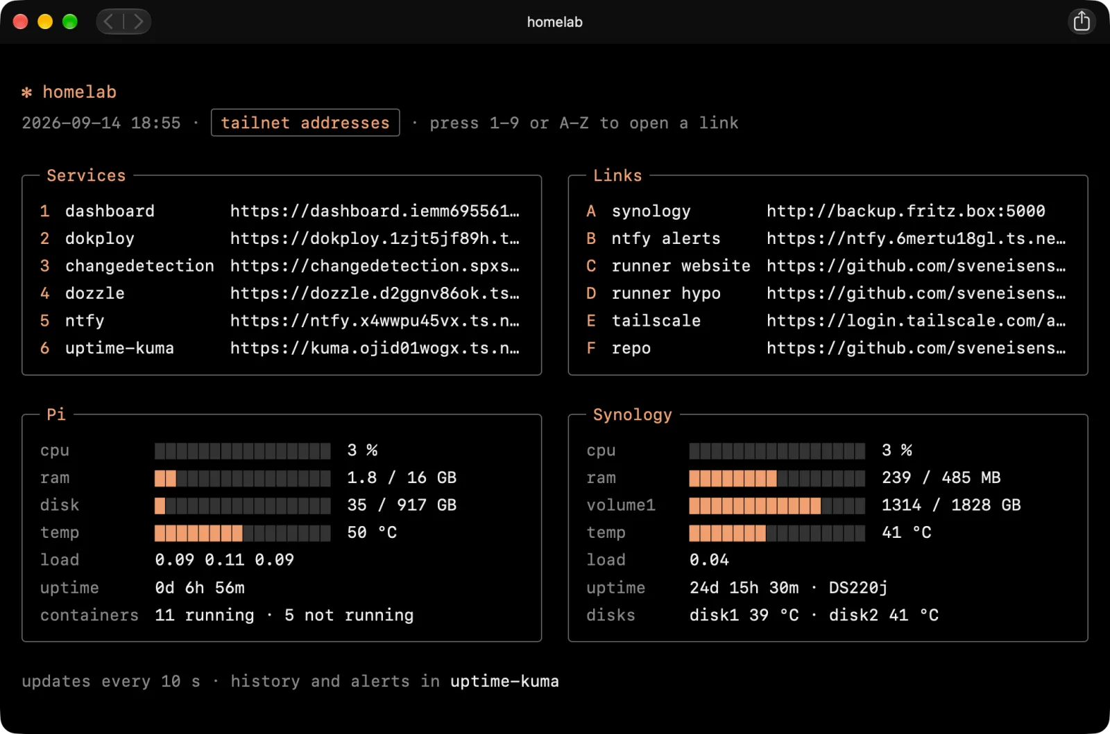 Homelab dashboard, black page with orange labels, services, links and stats for the Pi and the Synology
