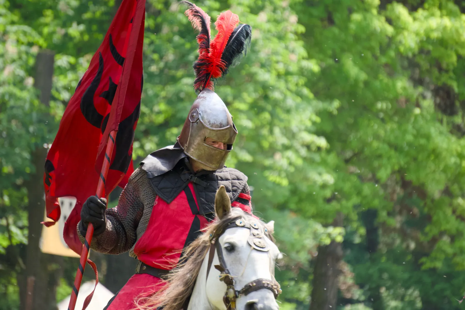 A knight on a white horse with a red-plumed helmet and banner