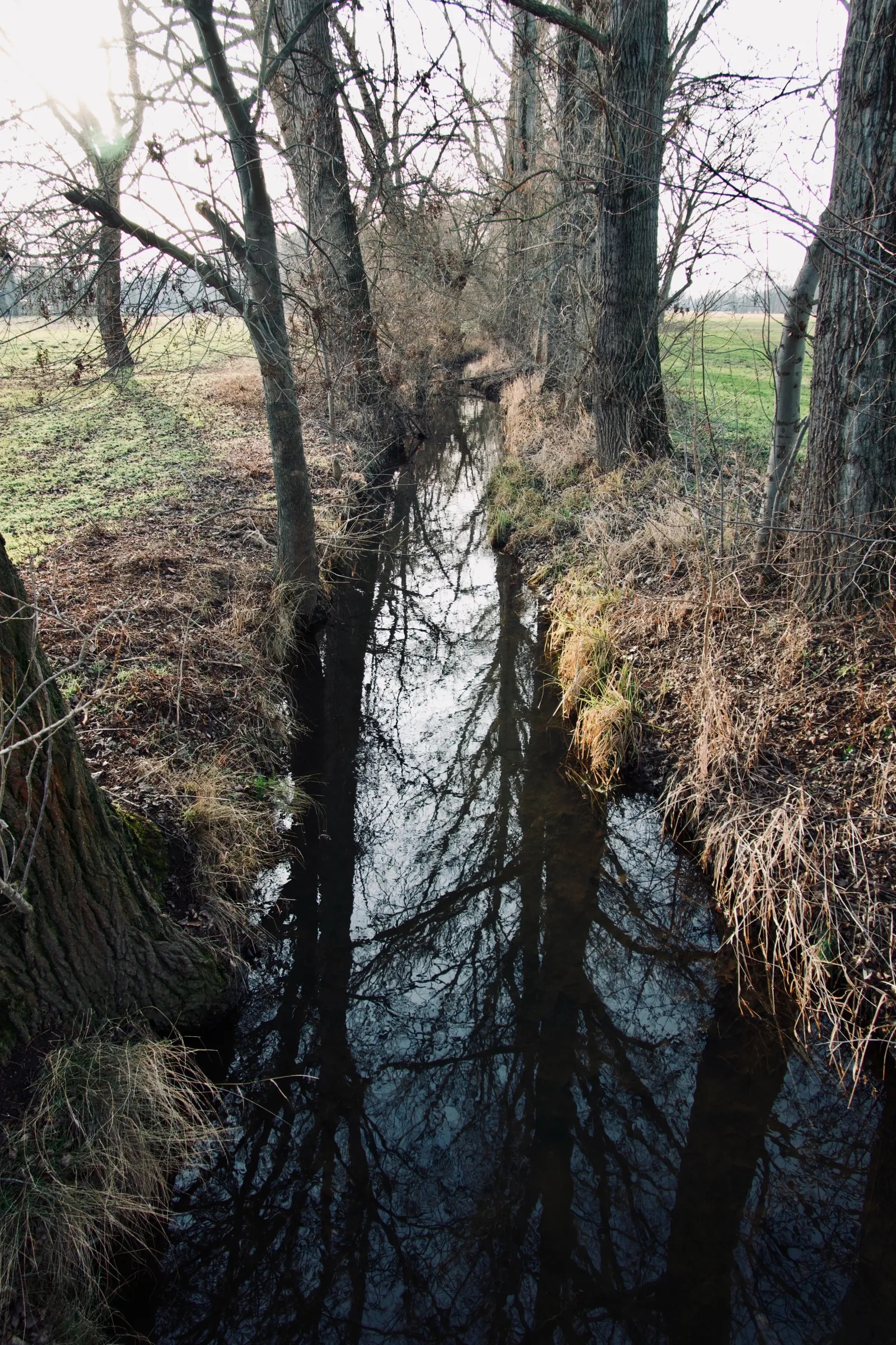 River Schwennige