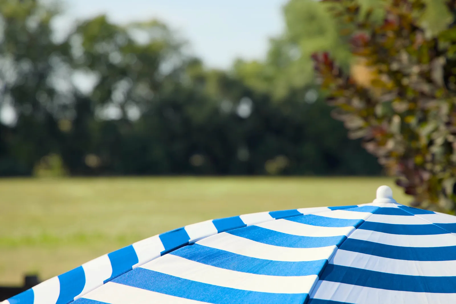 Blue and white striped parasol in front of a meadow