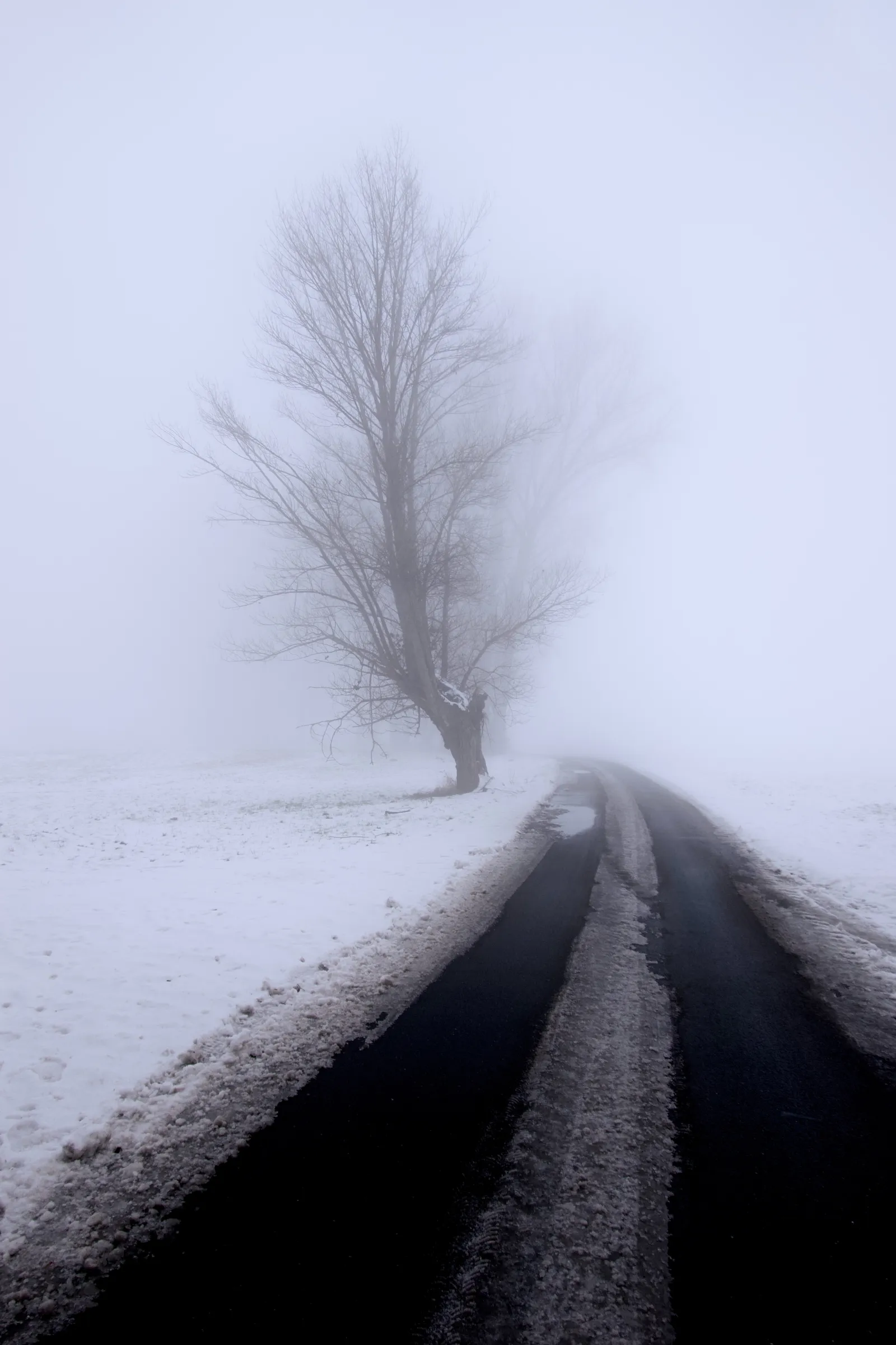 Fog