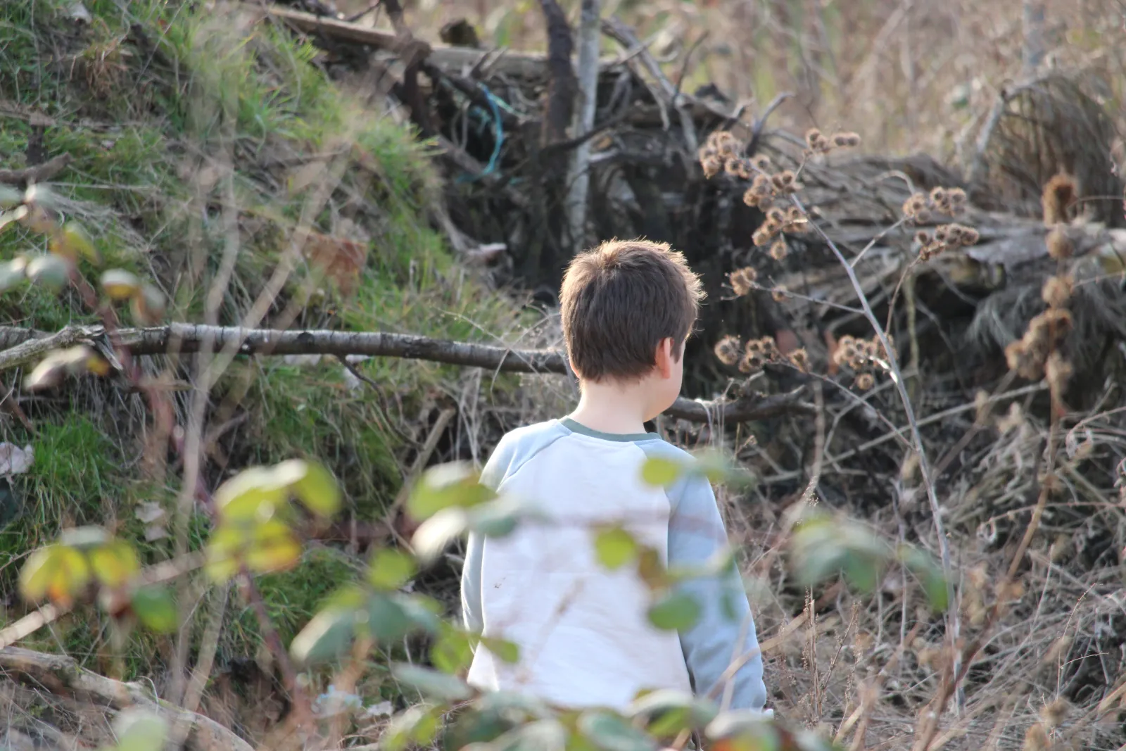 Tilian exploring