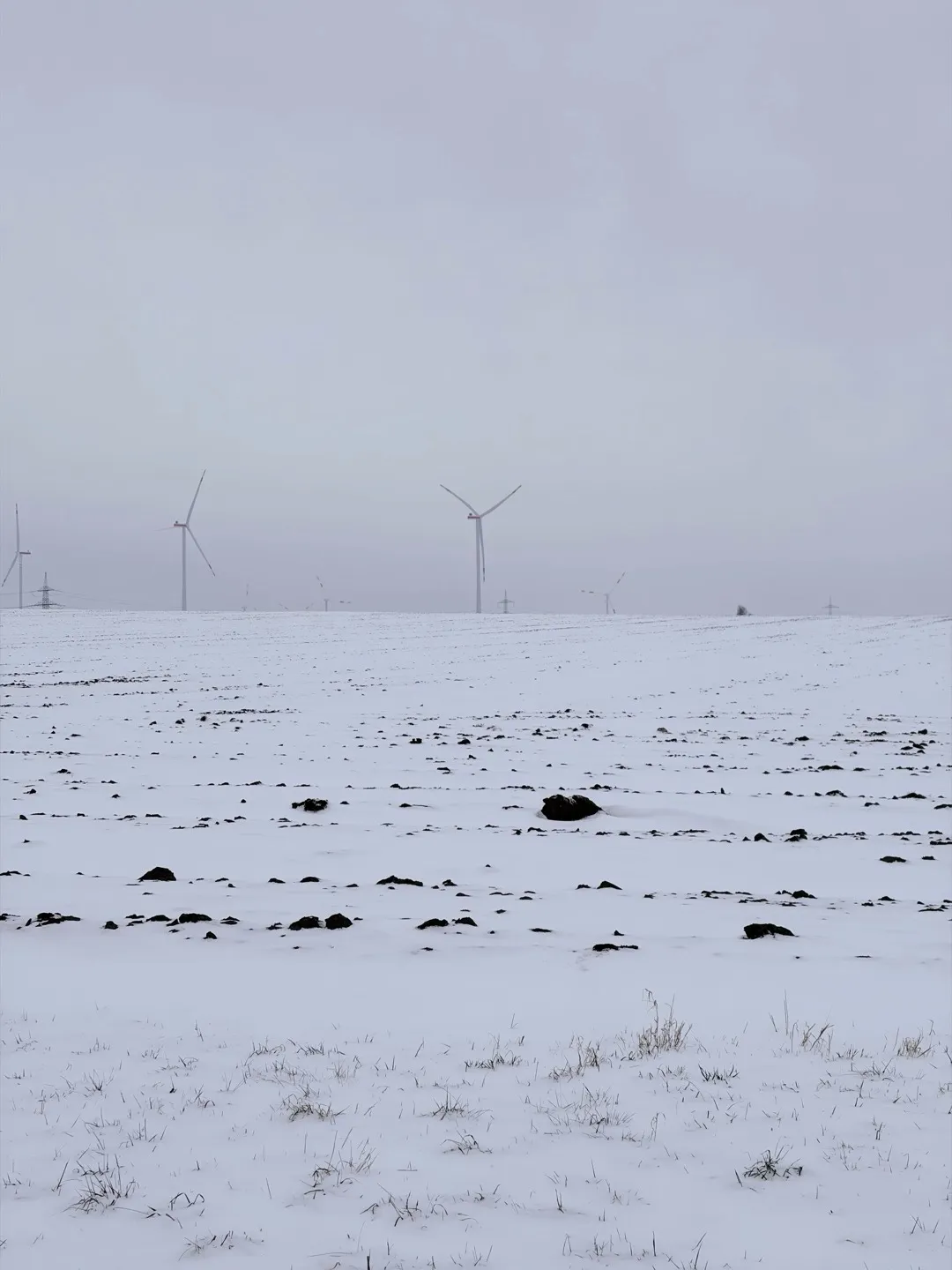 Windpark