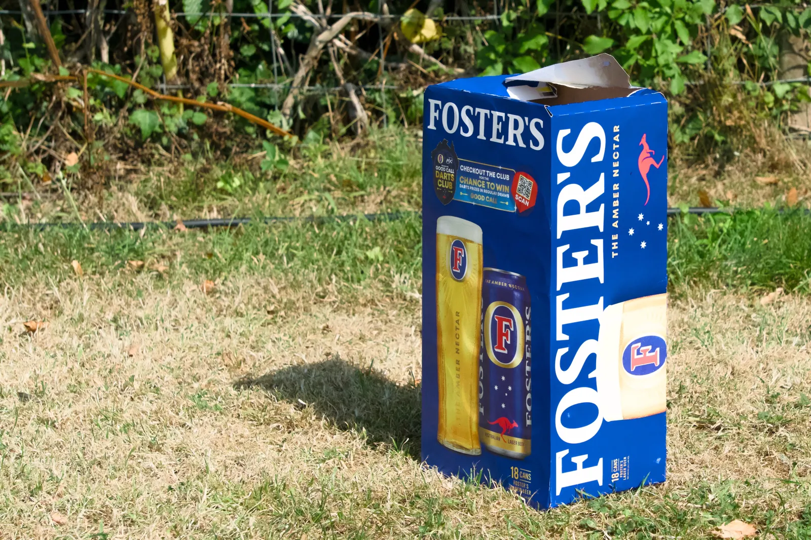 Foster's 18-can box standing on dry grass