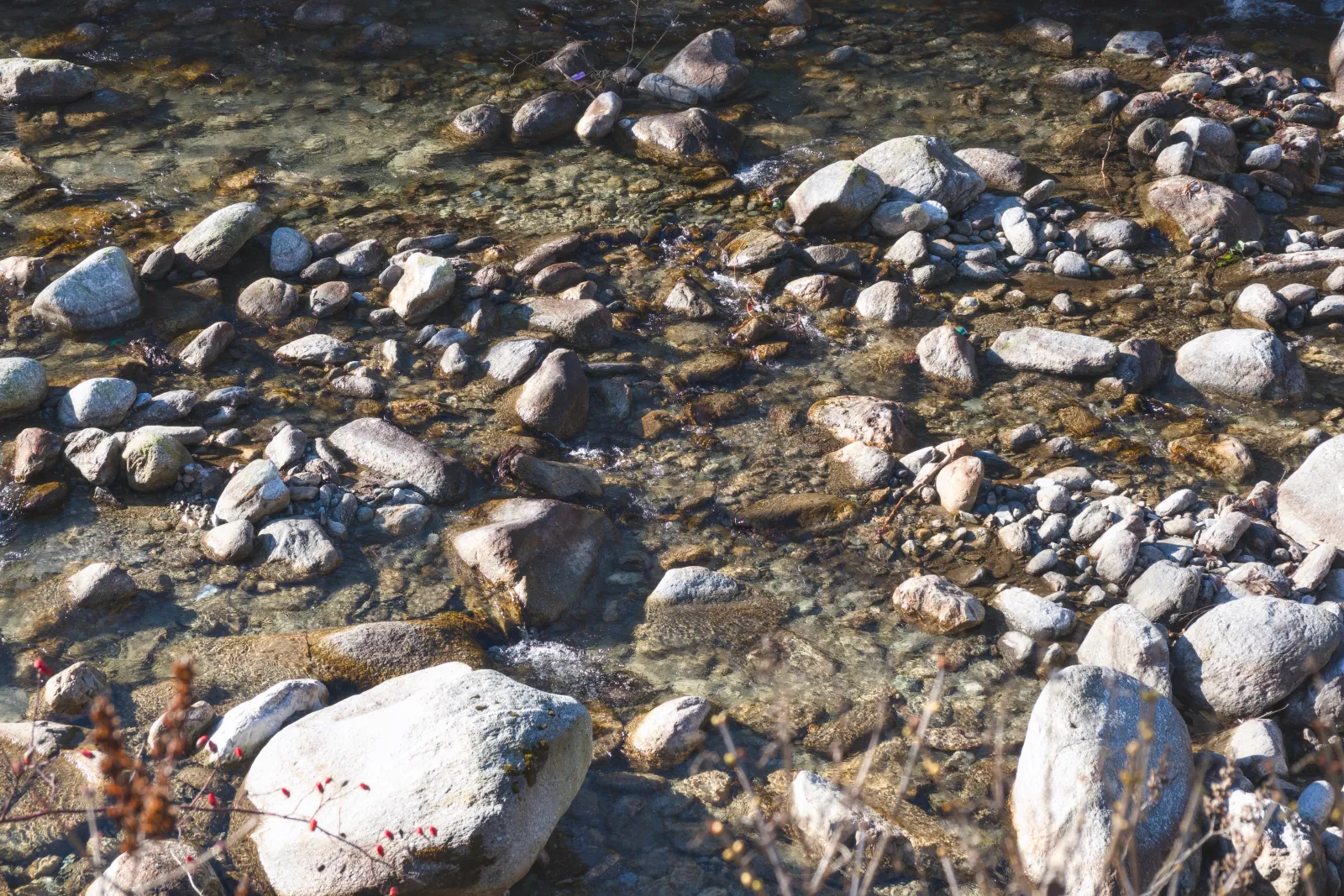 Rocky riverbed in the mountains
