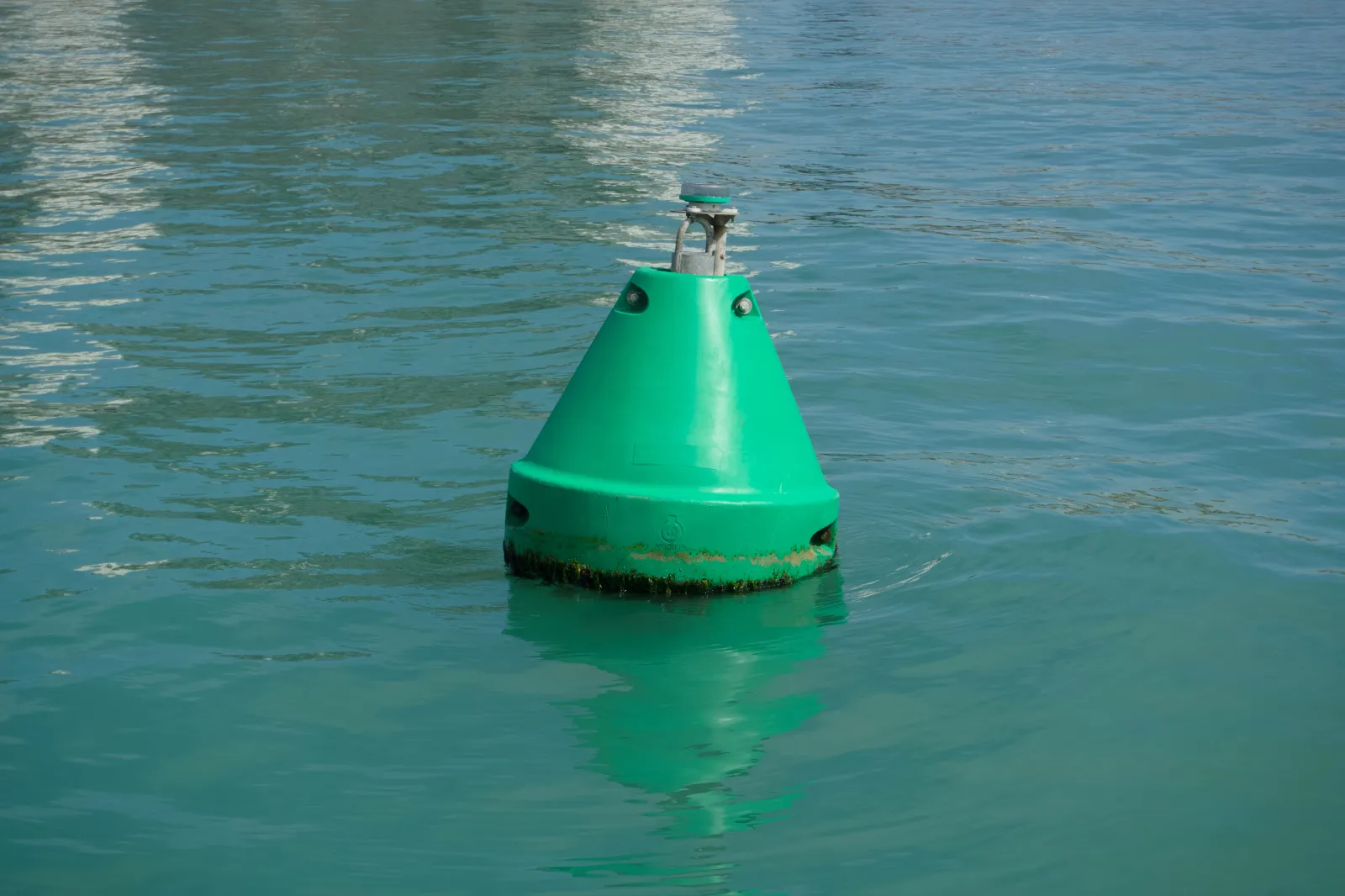 A green conical channel marker buoy floating on calm green water with a small reflection beneath