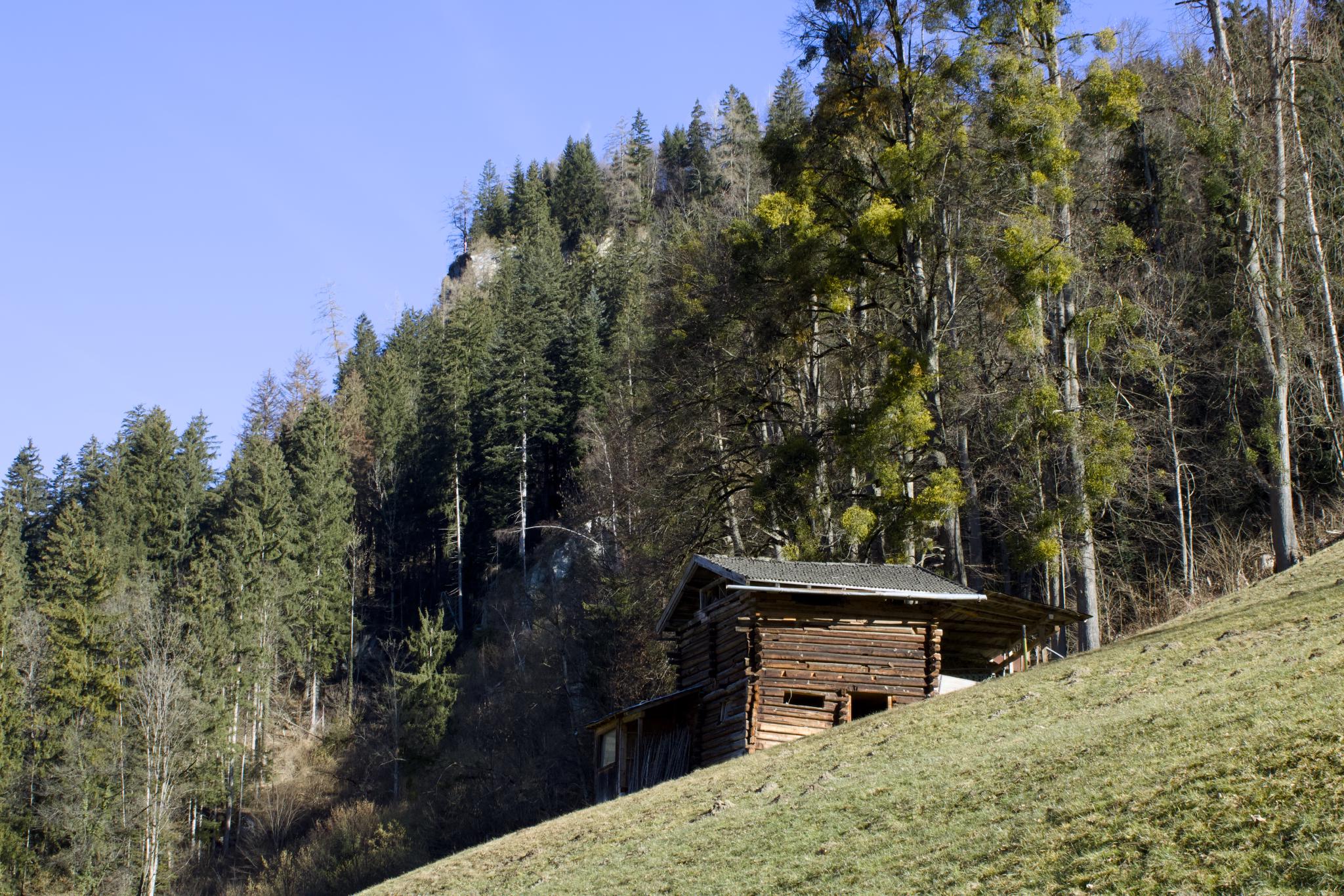 Green fields and blue sky near Ramsau