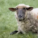 Back to Back cover image