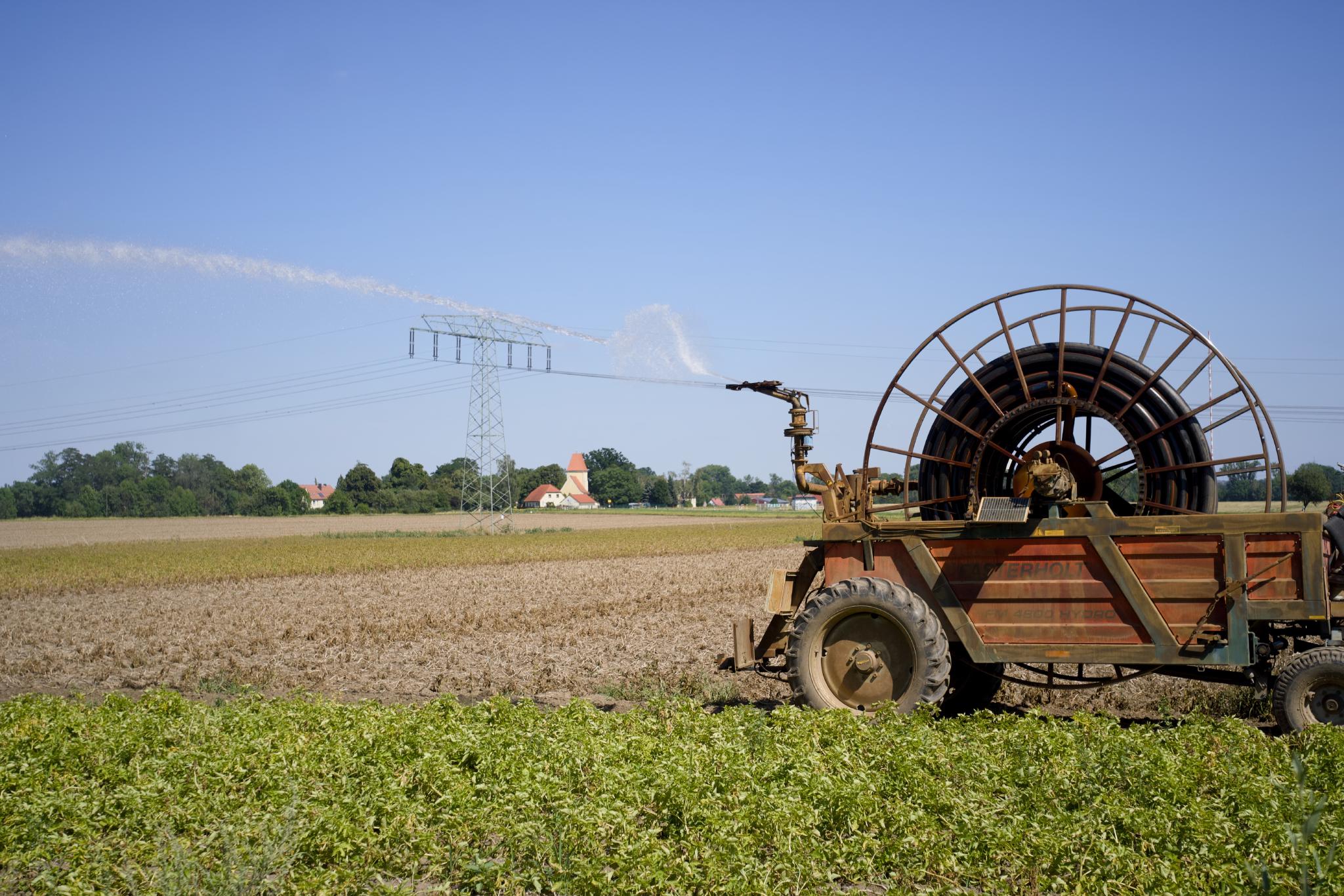 Hose reel irrigation machine spraying water over a potato field