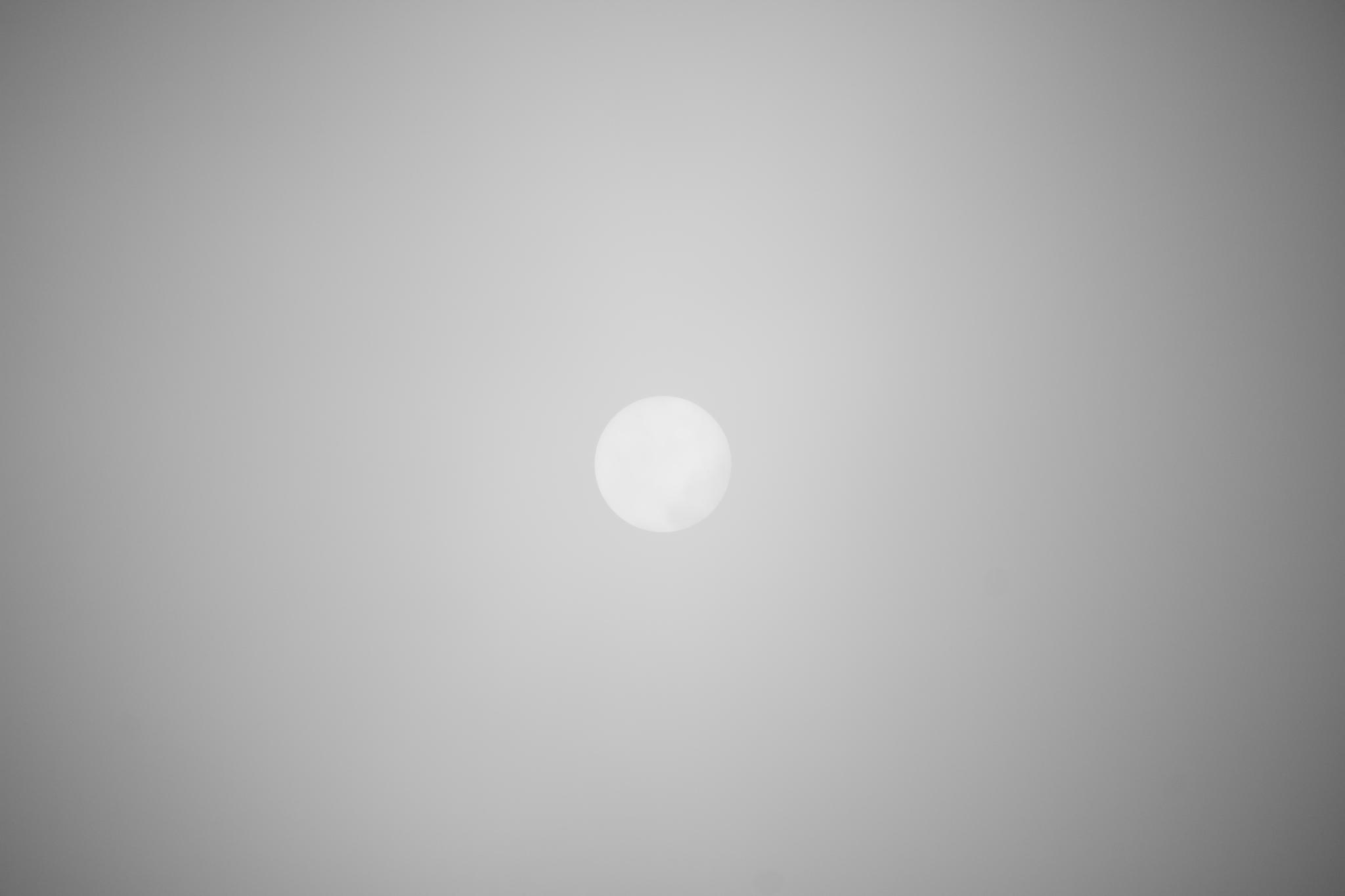 Sun barely visible through thick fog