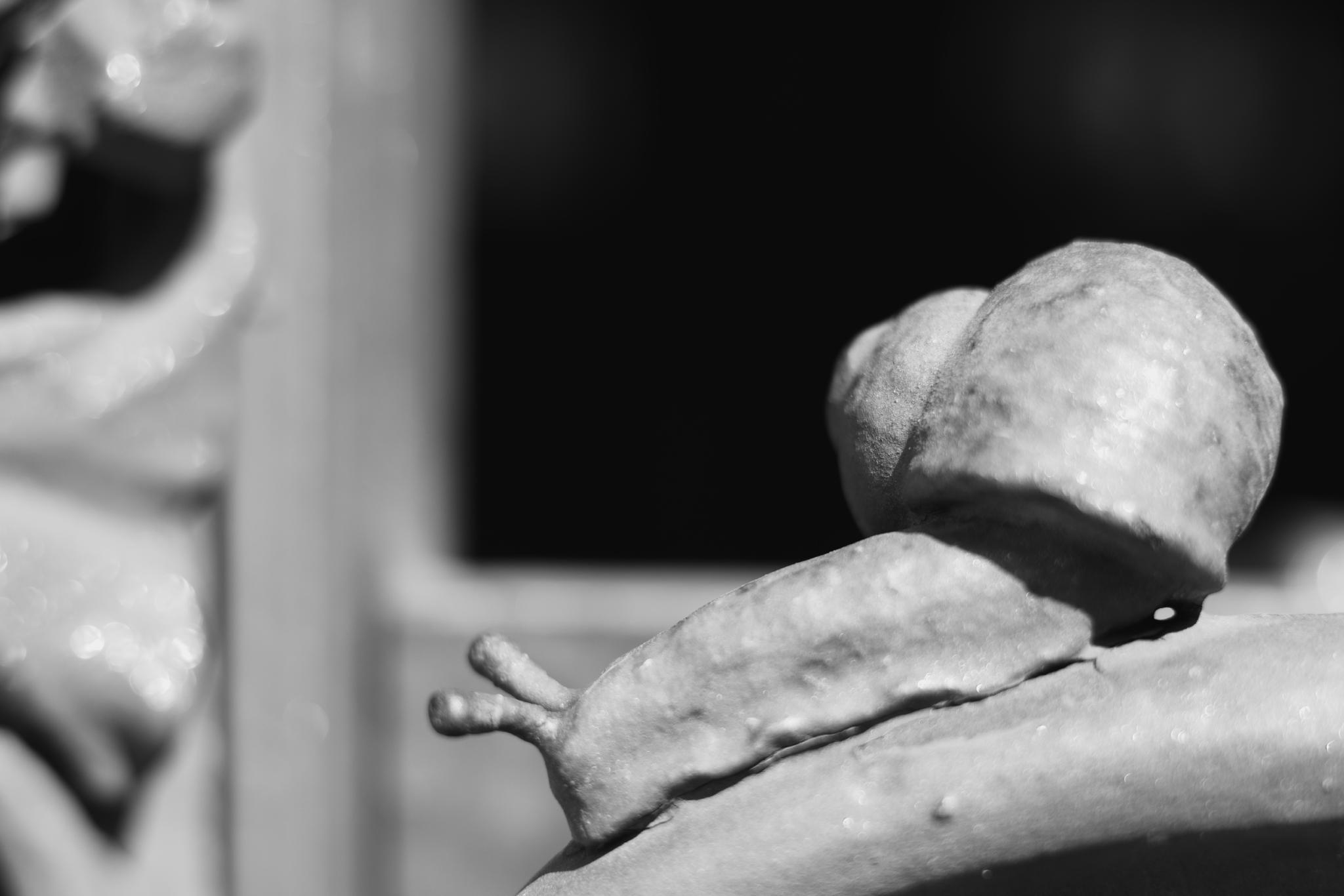 Black and white photo of a bronze snail on a door handle