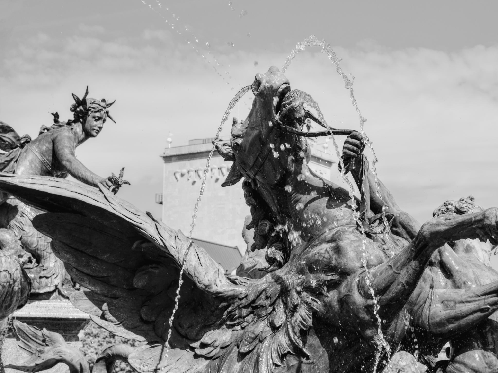 Black and white photo of a fountain figure of a winged horse spouting water