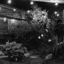 Lights cover image