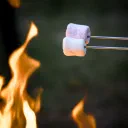 Marshmallows cover image
