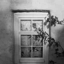 Milestone cover image