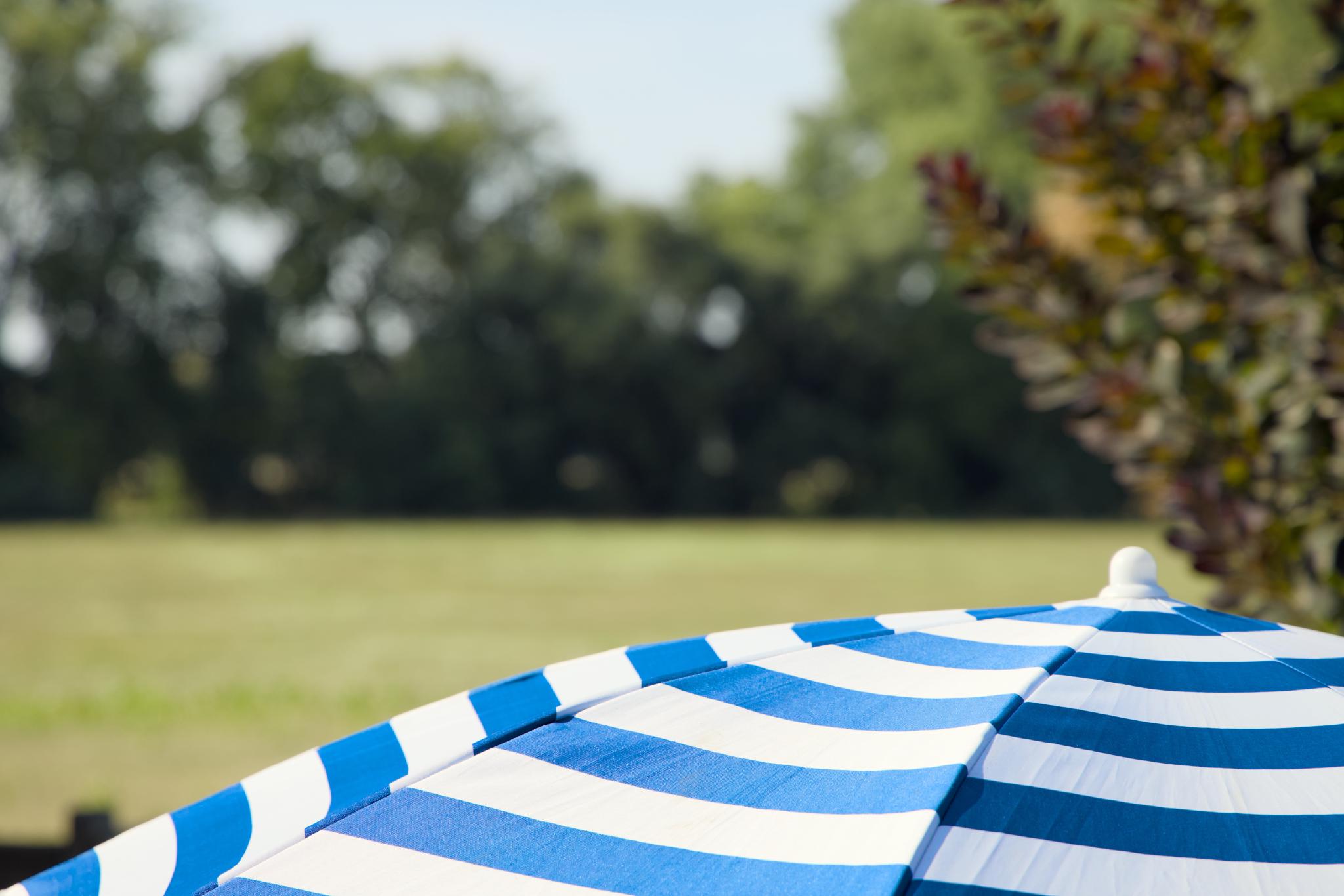 Blue and white striped parasol in front of a meadow