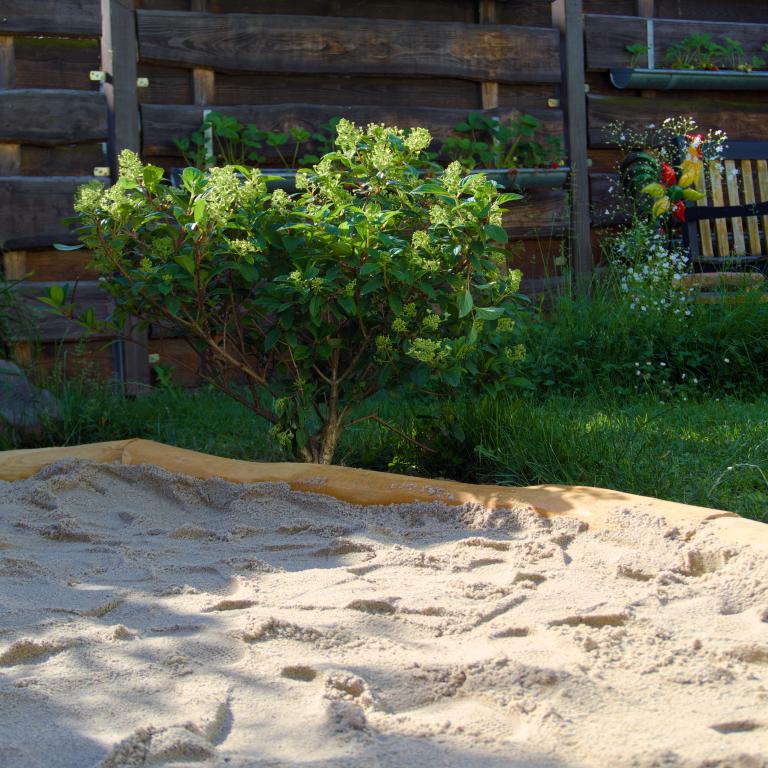 Photo from Sandbox