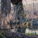 Tilian's Favourite Spot cover image