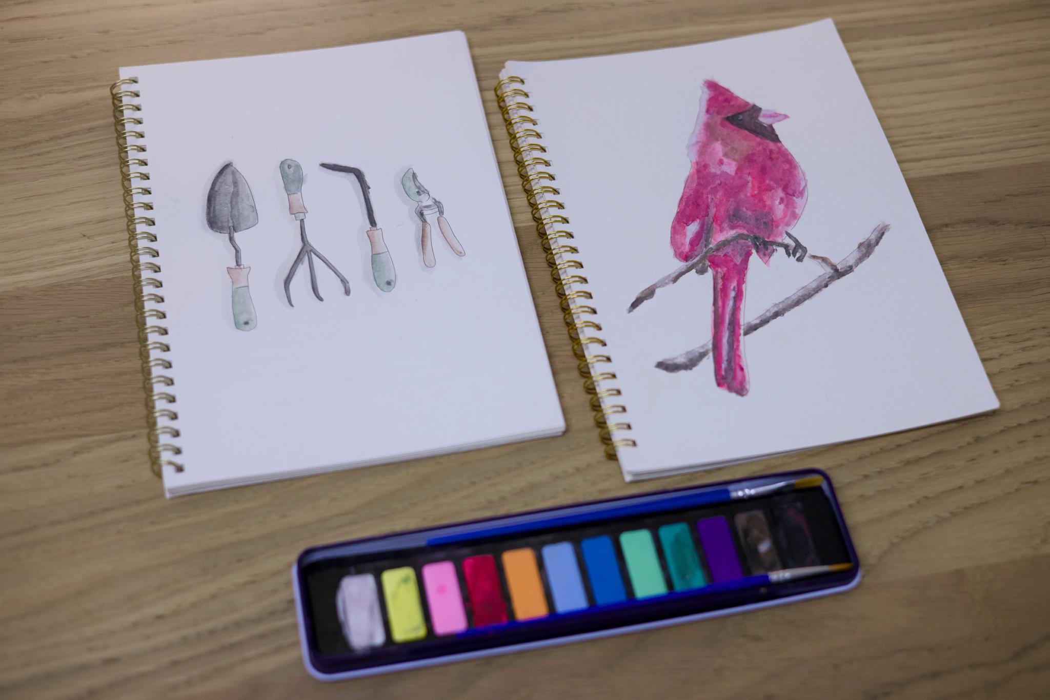 Two watercolor sketchbooks with garden tools and a red cardinal next to a paint tin