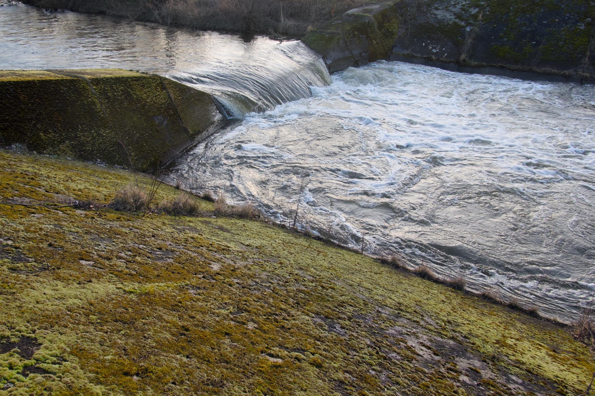 Weir on the Weiße Elster