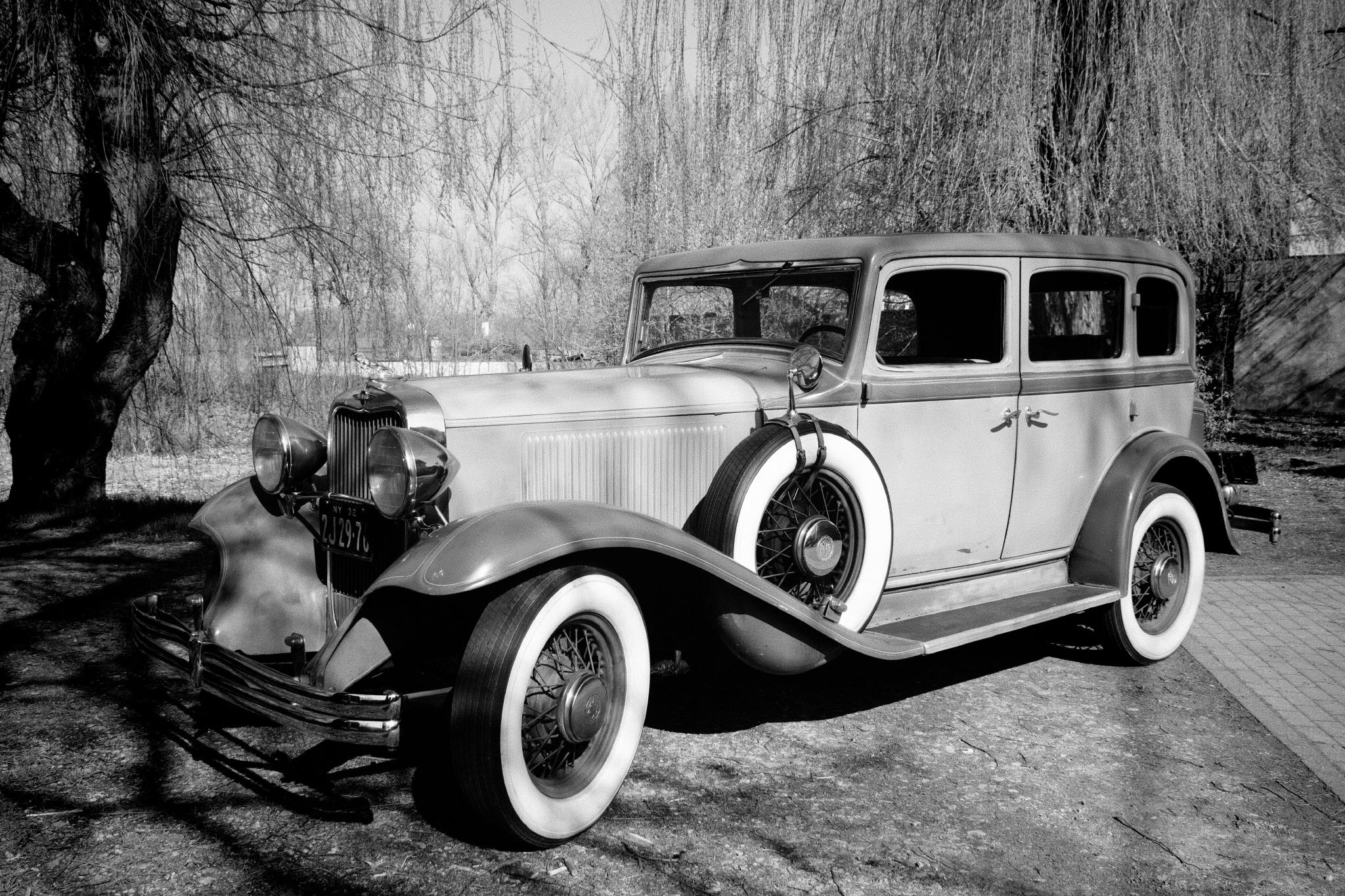 1932 Dodge Eight Series DK parked under willow trees