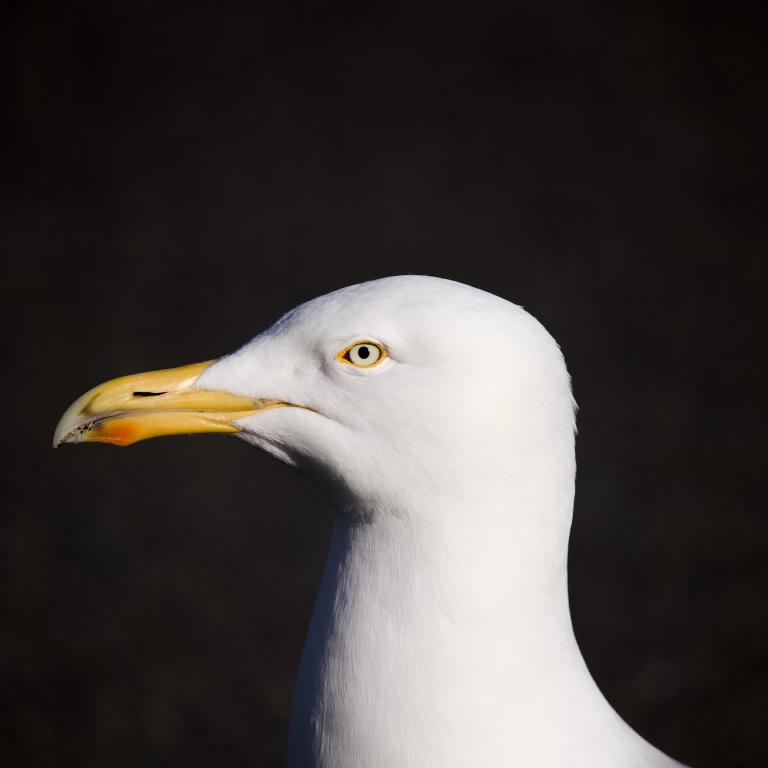 Photo from England, Day 1