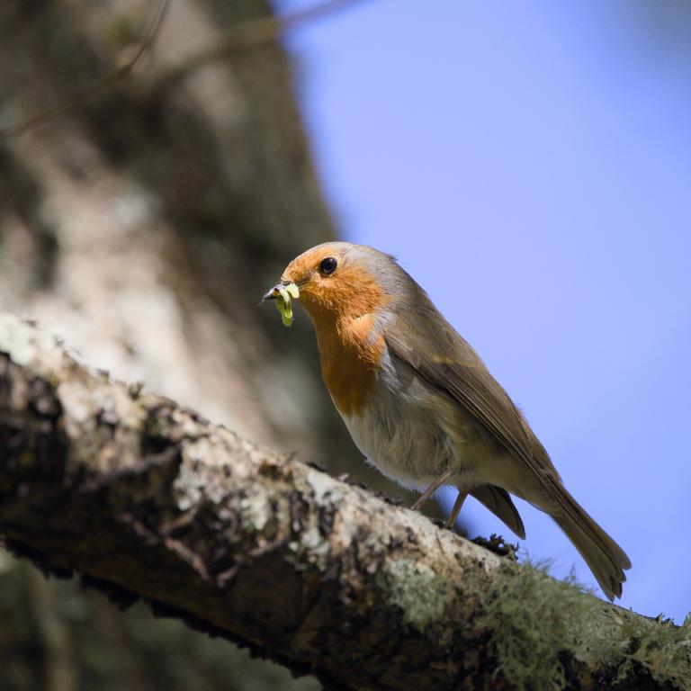 Photo from England, Day 2